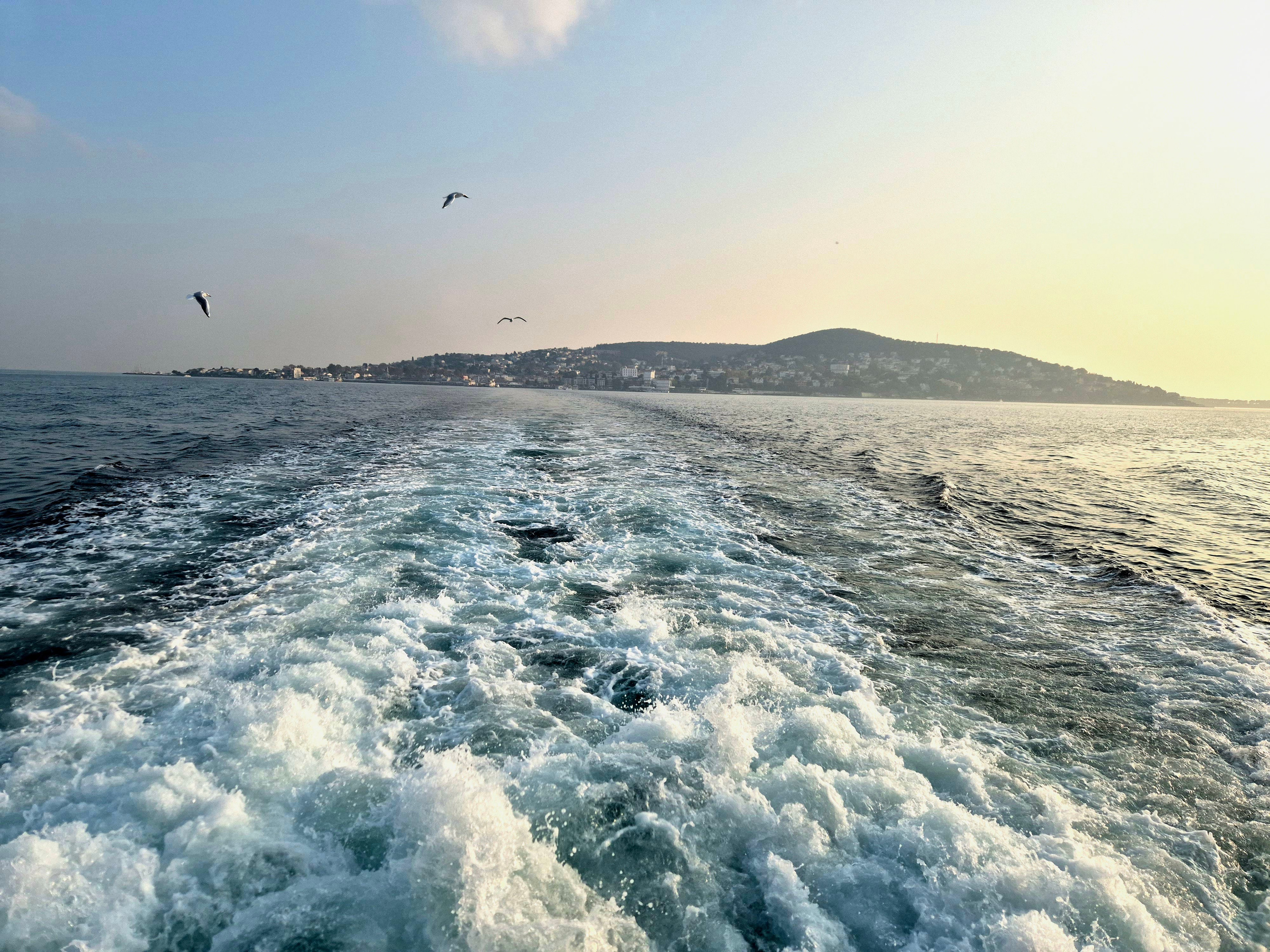 Пора возвращаться