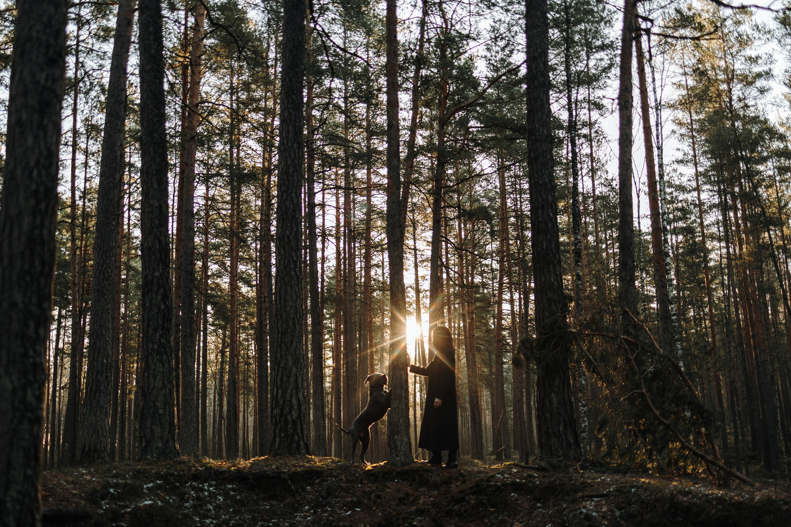 Анна и Лана. Фотограф — Анималист | Санкт-Петербург