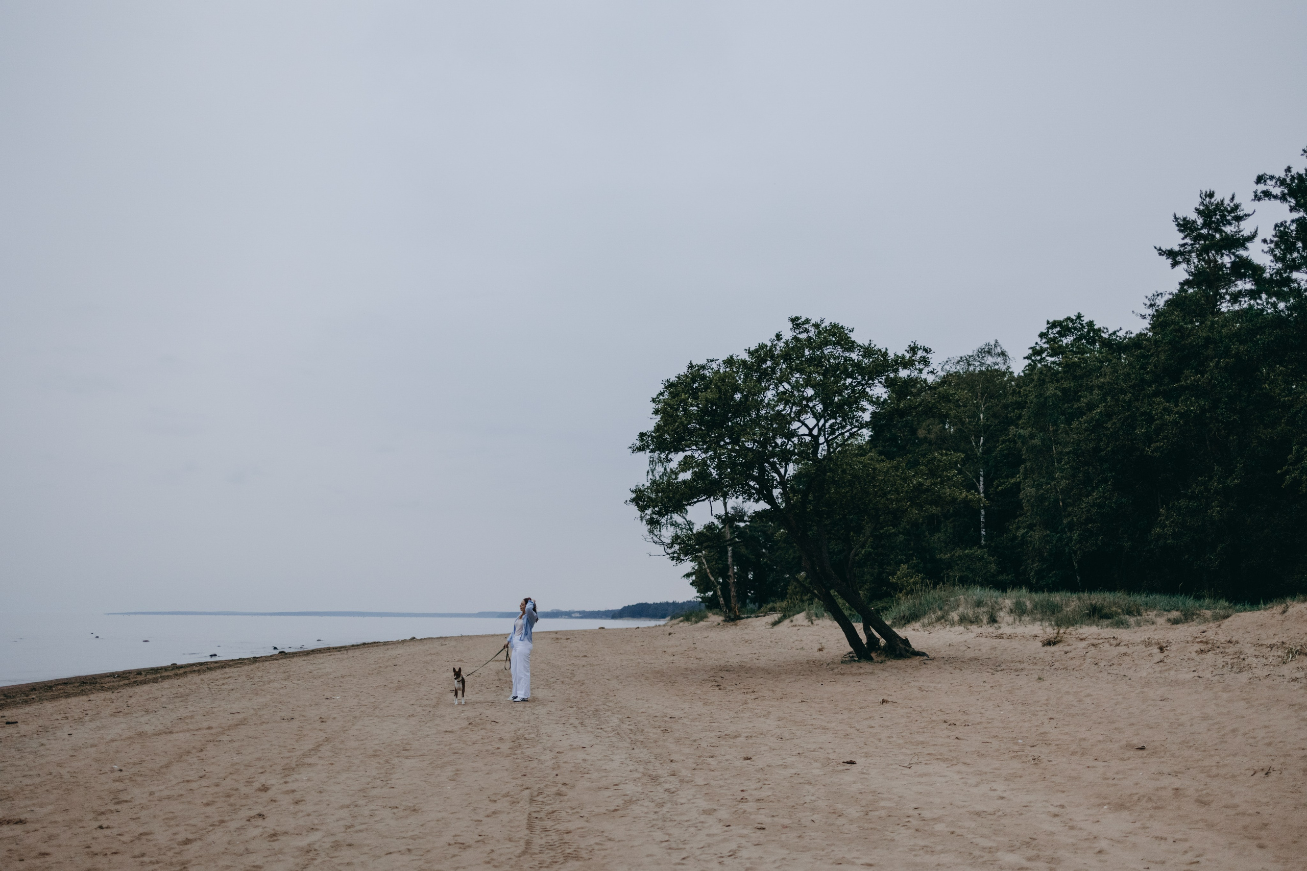 Даша и Арчи. Фотограф — Анималист | Санкт-Петербург