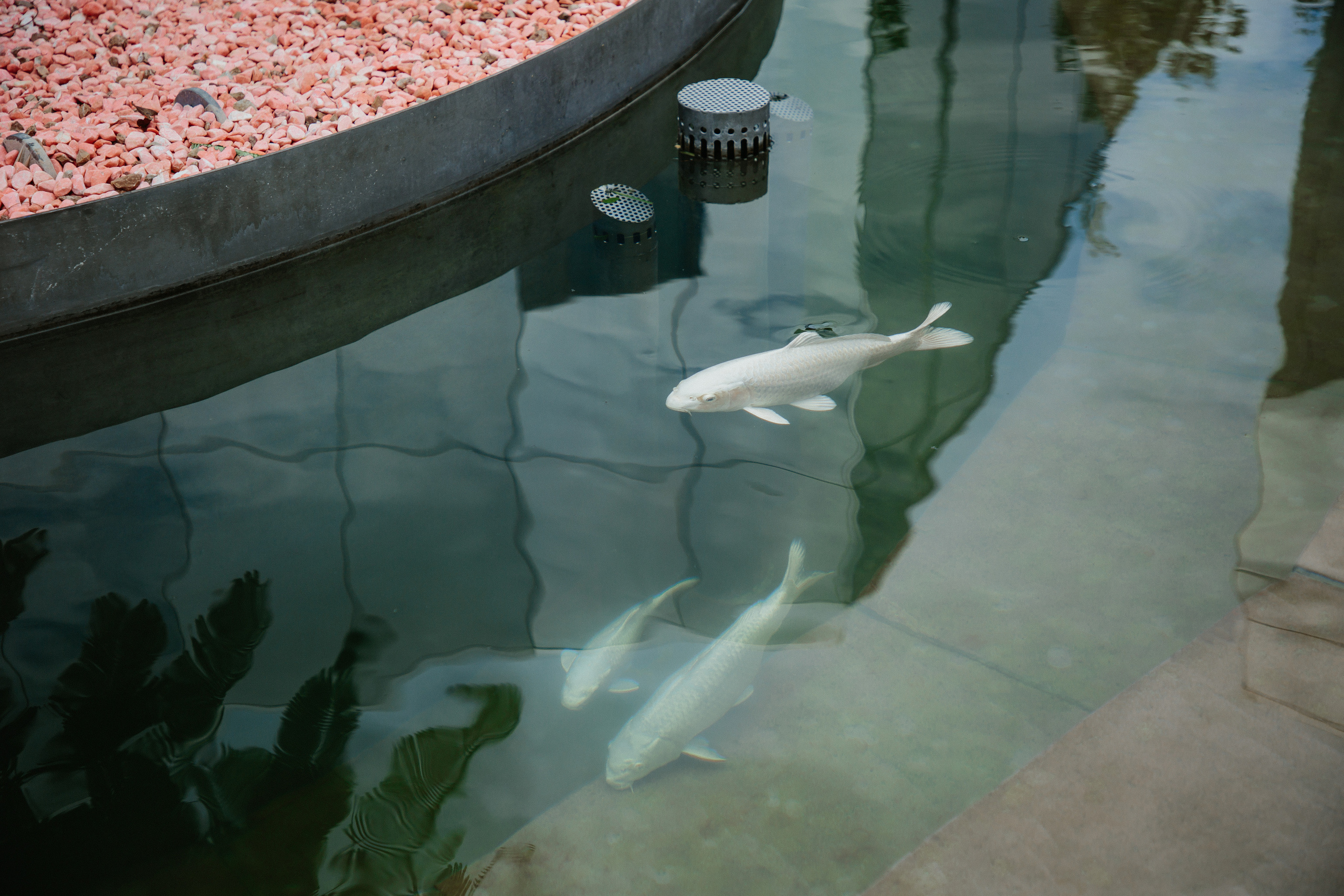 Прогулка по парку Краснодар. Свадебный и семейный фотограф/видеограф в Краснодаре Наталья Осинская