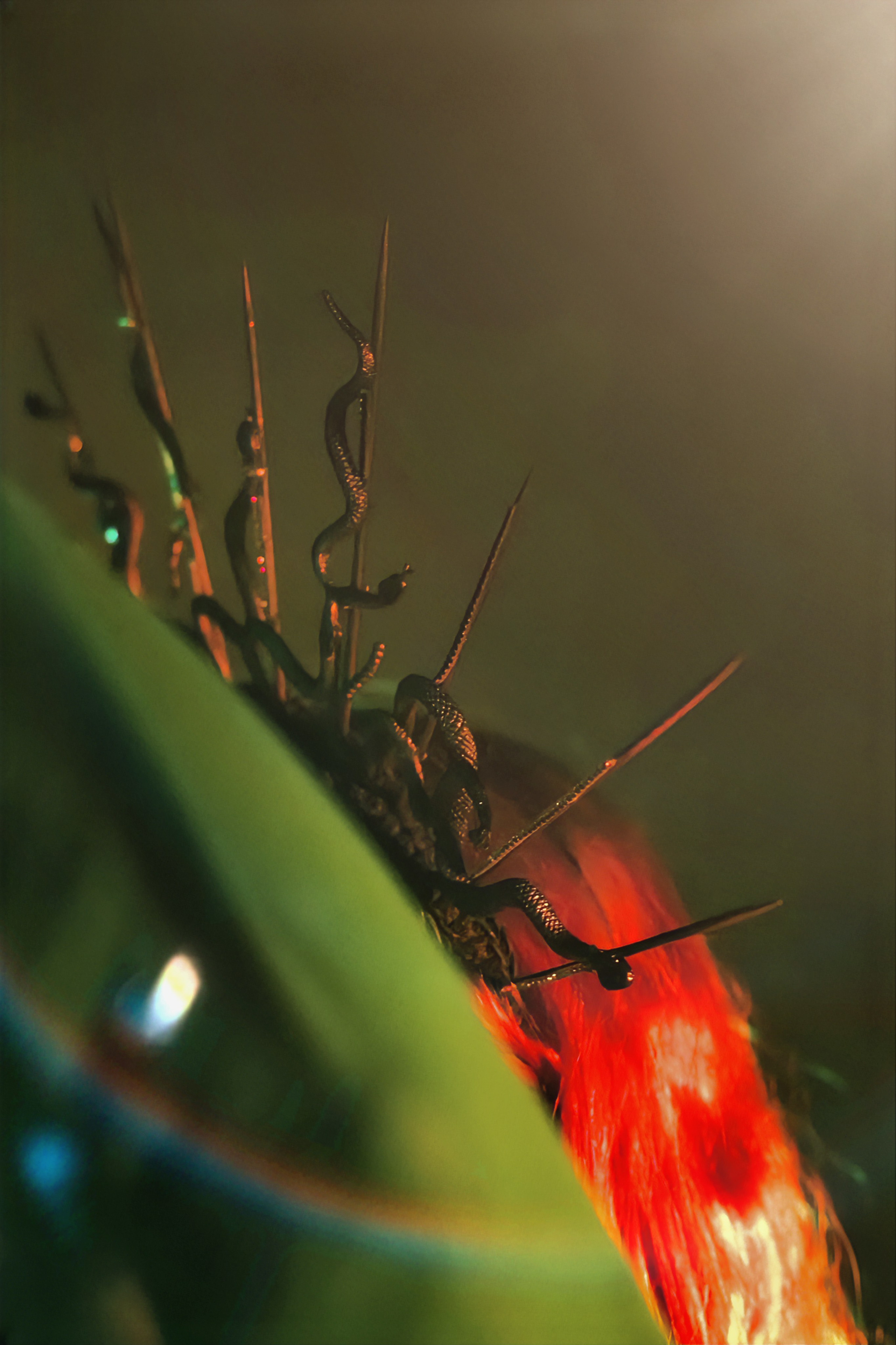 Тёмная вода. Рокография. Аля Рашпиль. Фотограф Москва