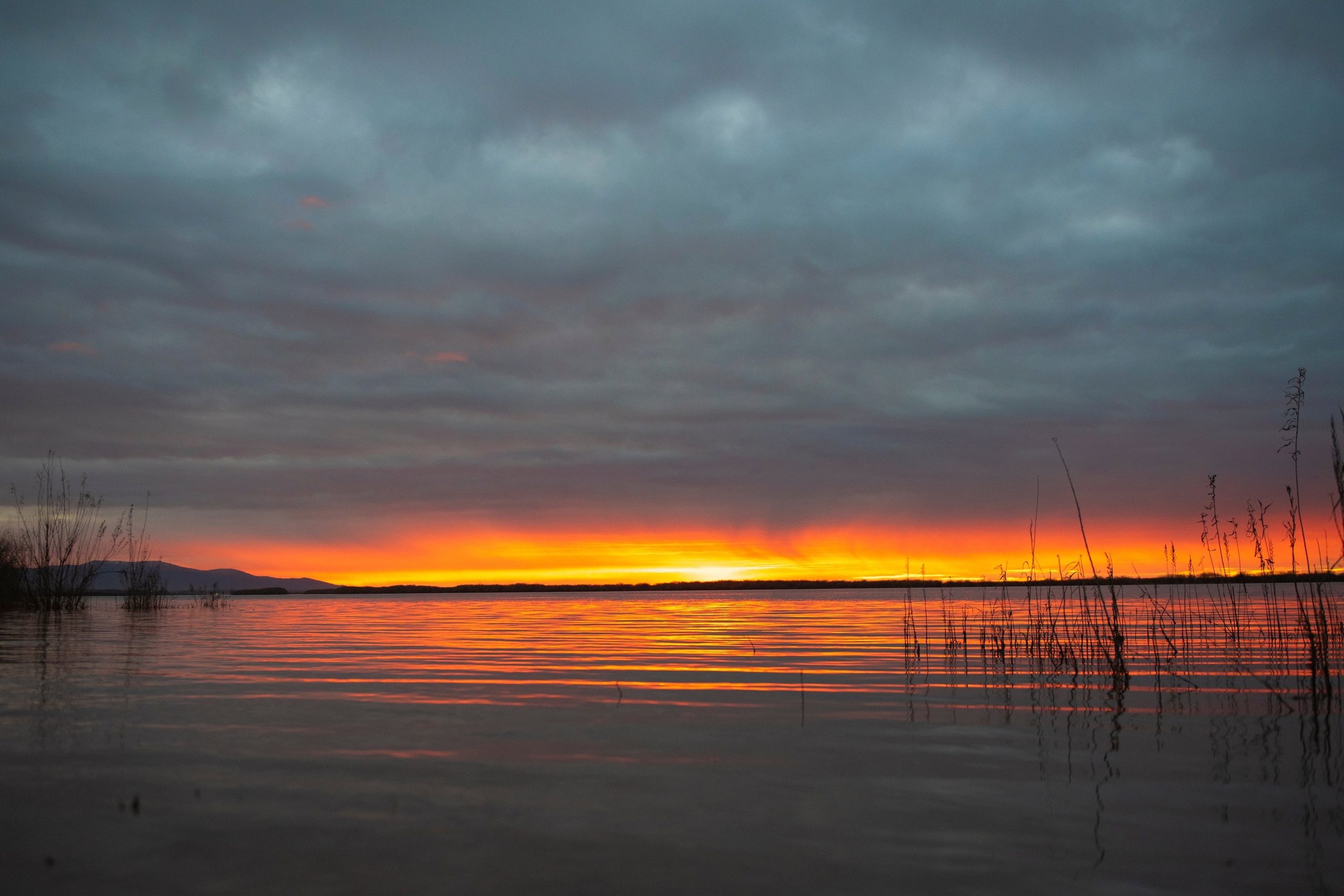 Природа Хабаровского края. Команда фотографов Кристины Ивановой