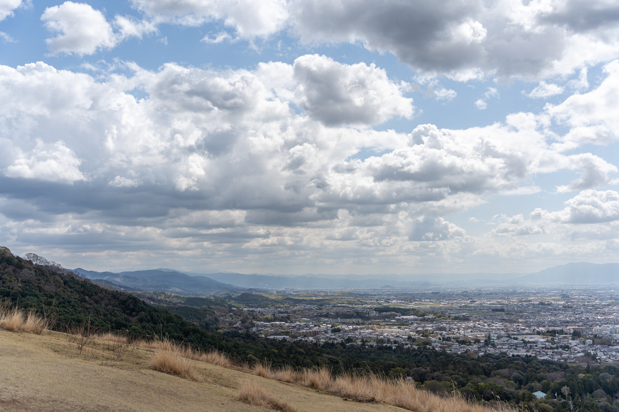 Япония, сакура. Творческие сьемки