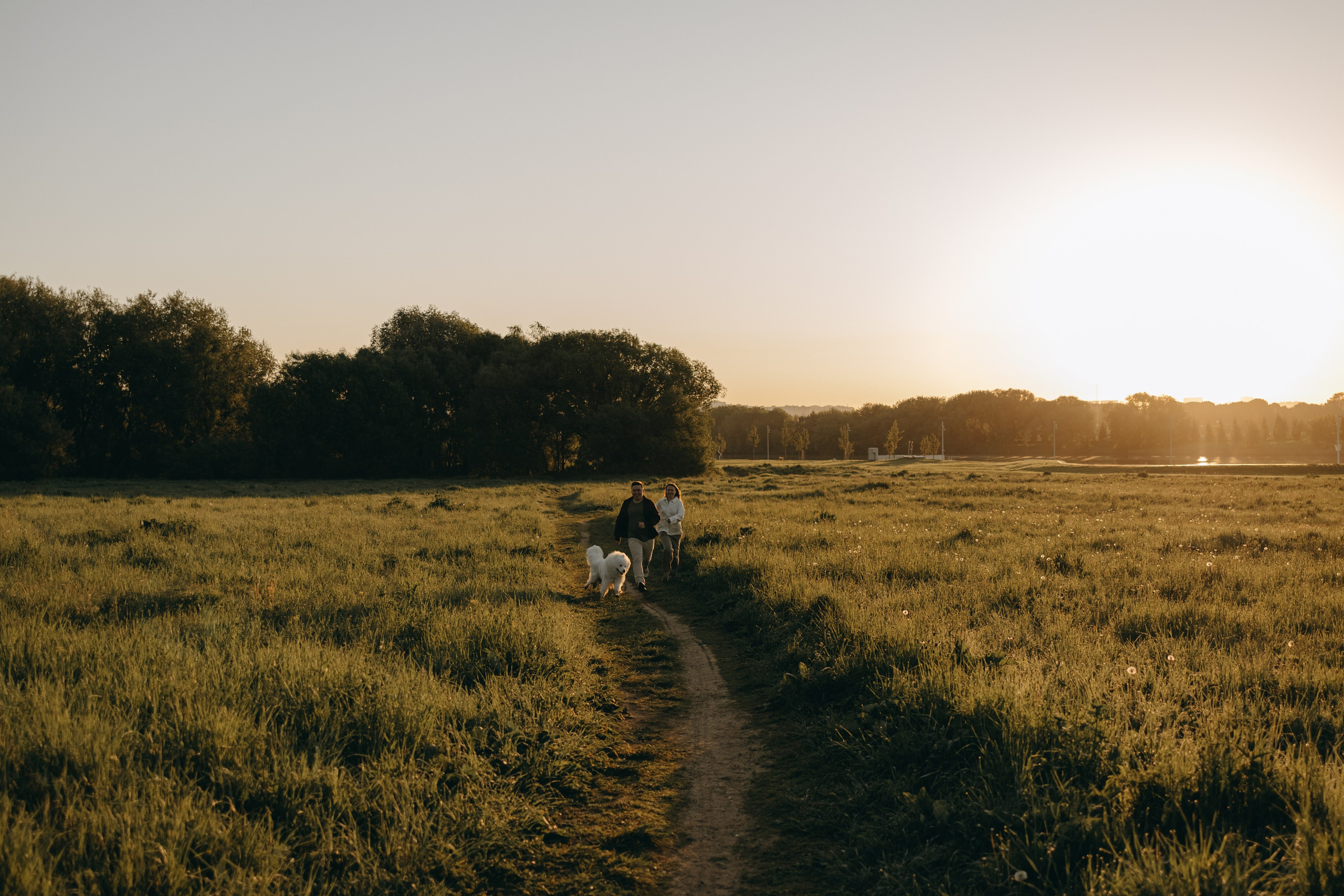 Танго и его семья. Фотограф — Анималист | Санкт-Петербург