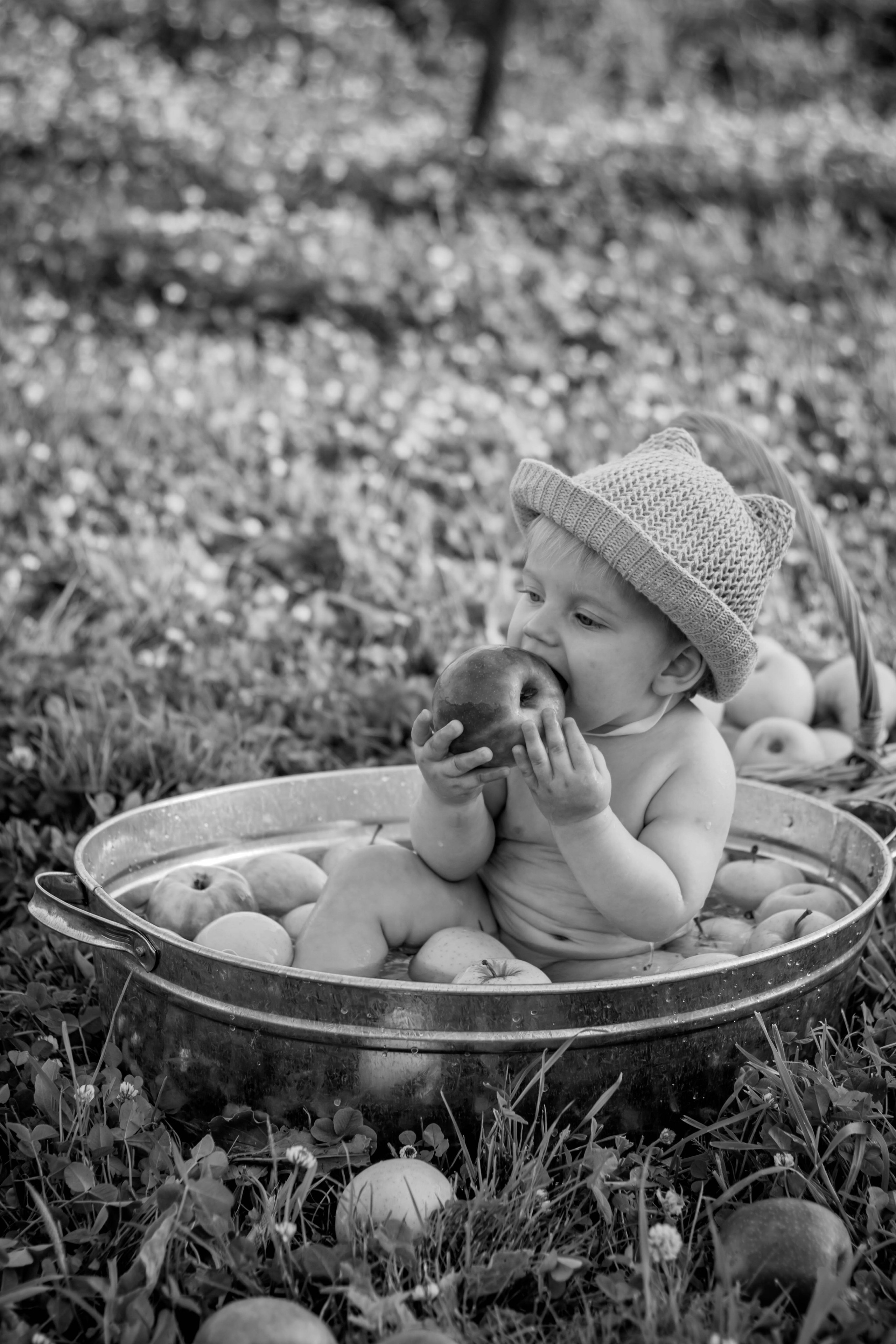 Яблочный рай. Семейный и детский фотограф в Павловском Посаде Сарапкина Наталья