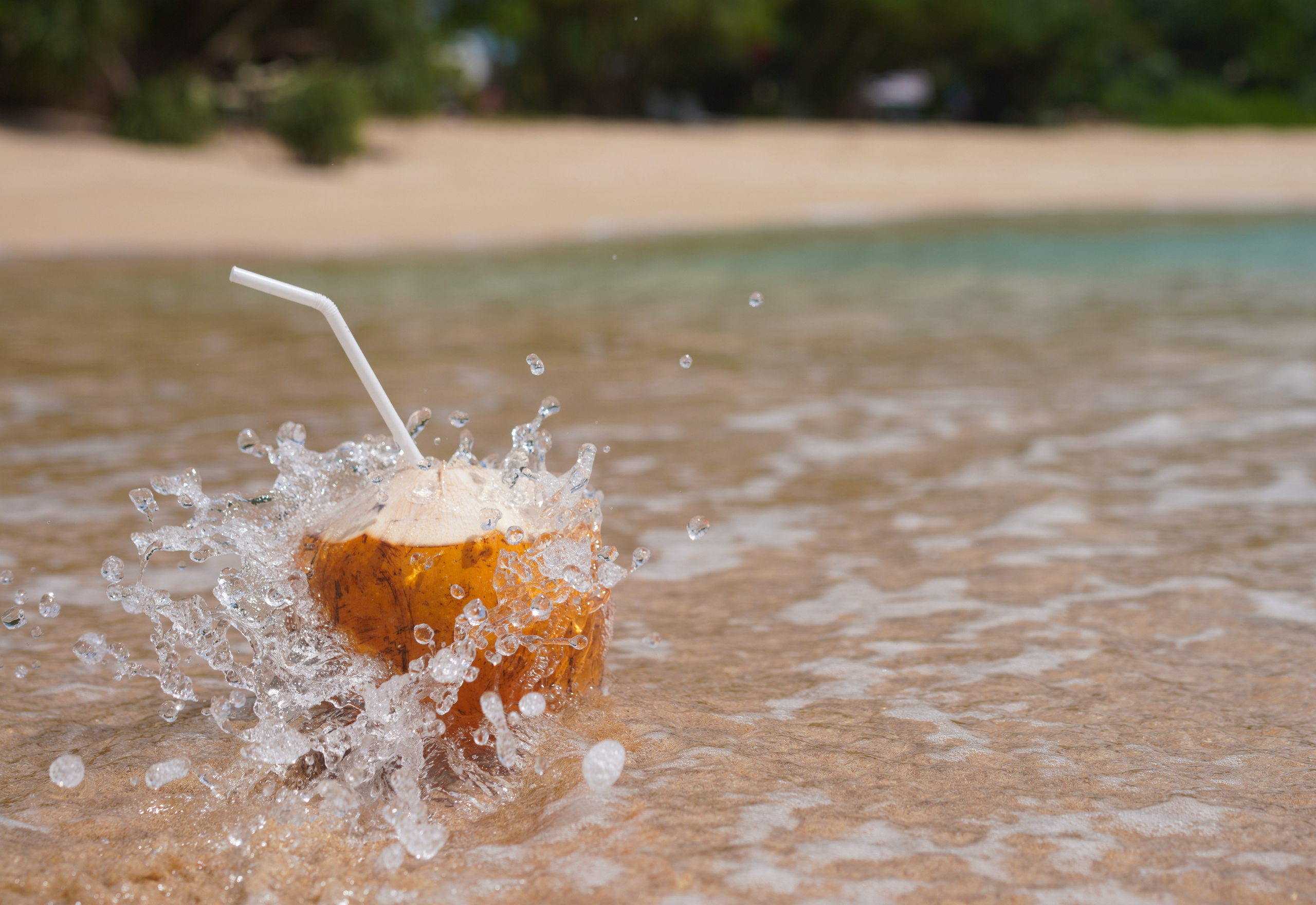 Остров Шри-Ланка. Фотограф Сергей Кишкель Дананг Нячанг Фукуок