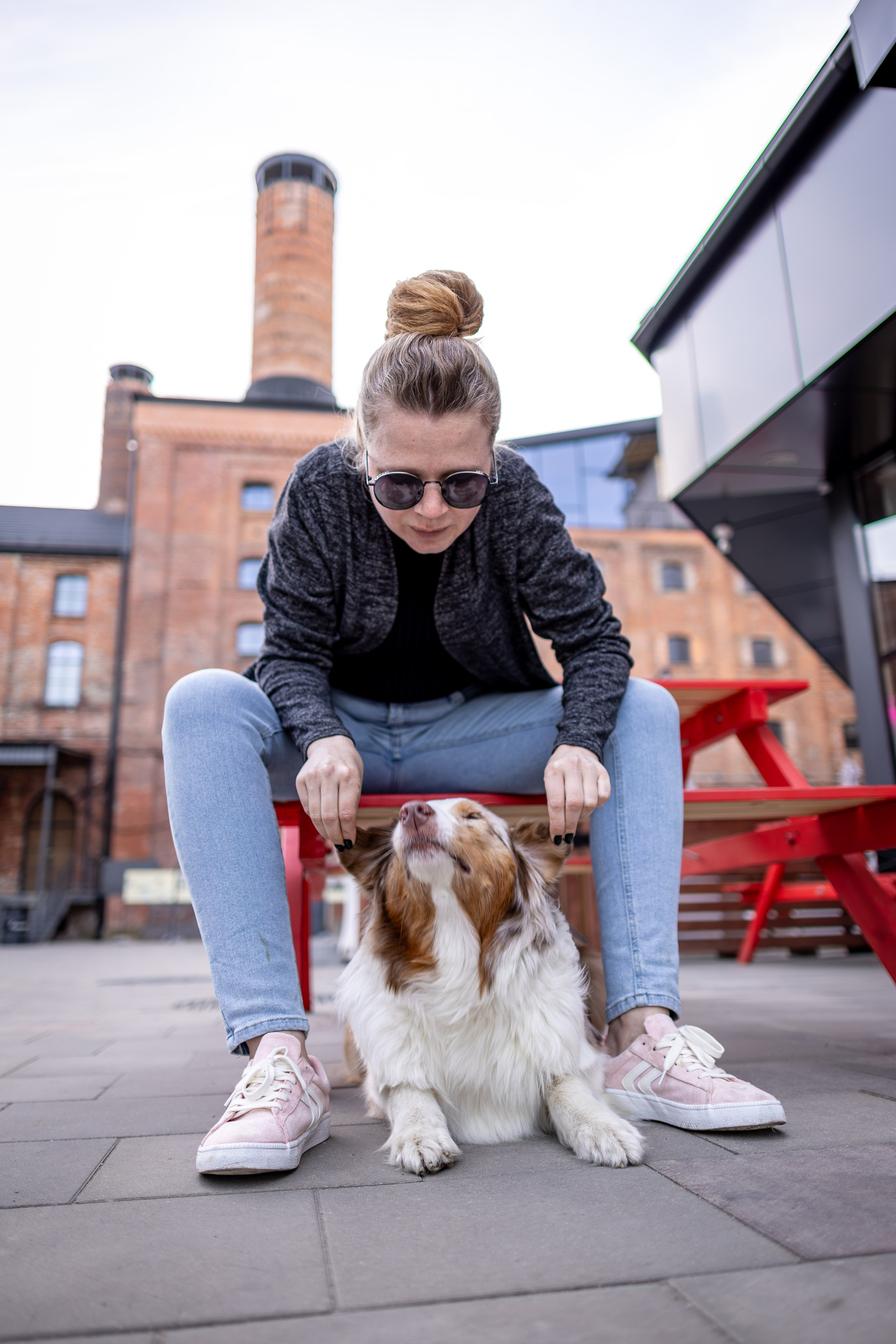 Полли, Австралийская Овчарка. Ирина Голомб|Фотограф-анималист в  Сочи и Калининграде