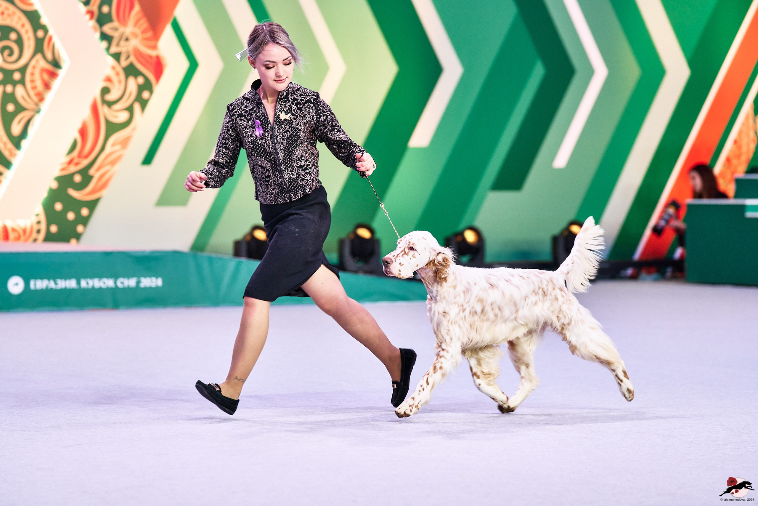 16.11.2024 «ЕВРАЗИЯ. КУБОК ПРЕЗИДЕНТА РКФ 2024»