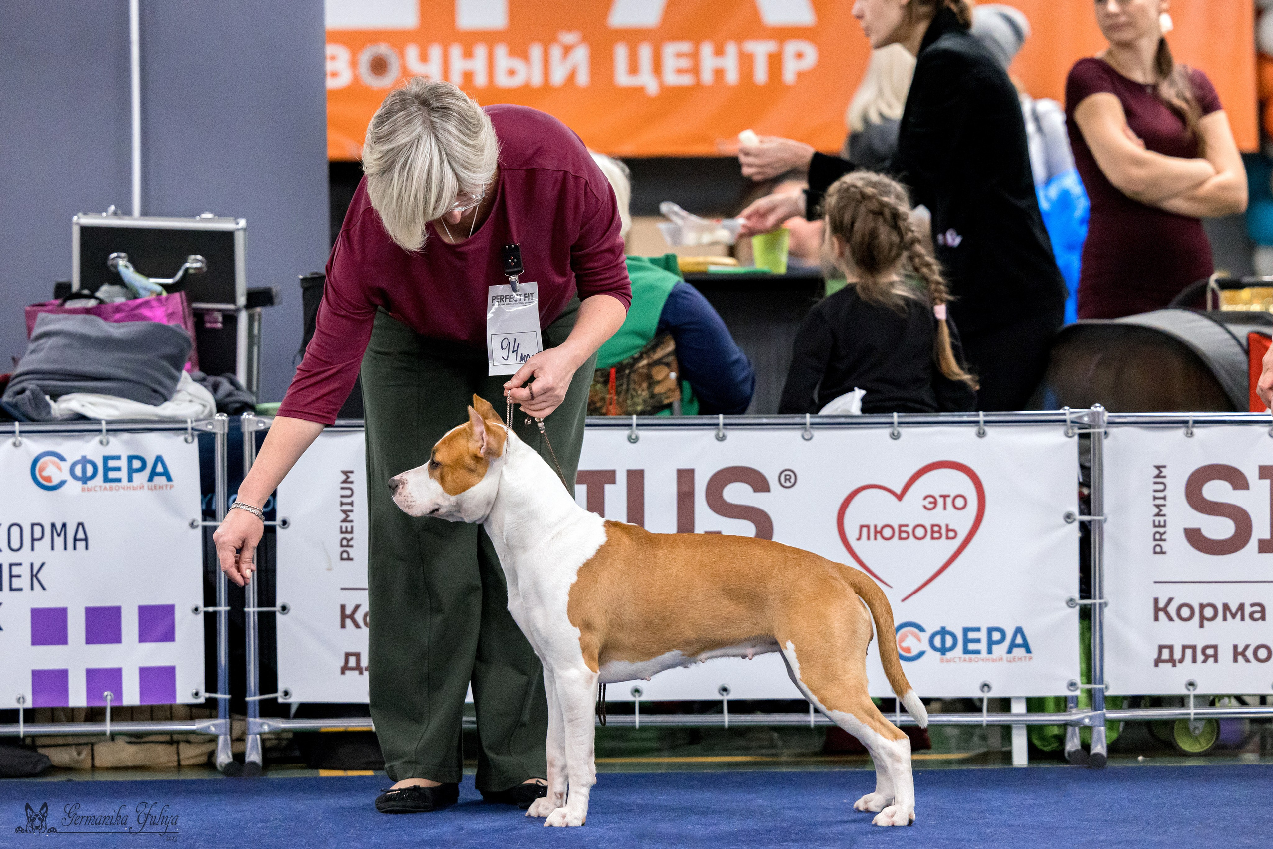 Сфера 29.10,Крокус 4.11,Сфера 12.11.2023. Фотограф-анималист Юлия Германика