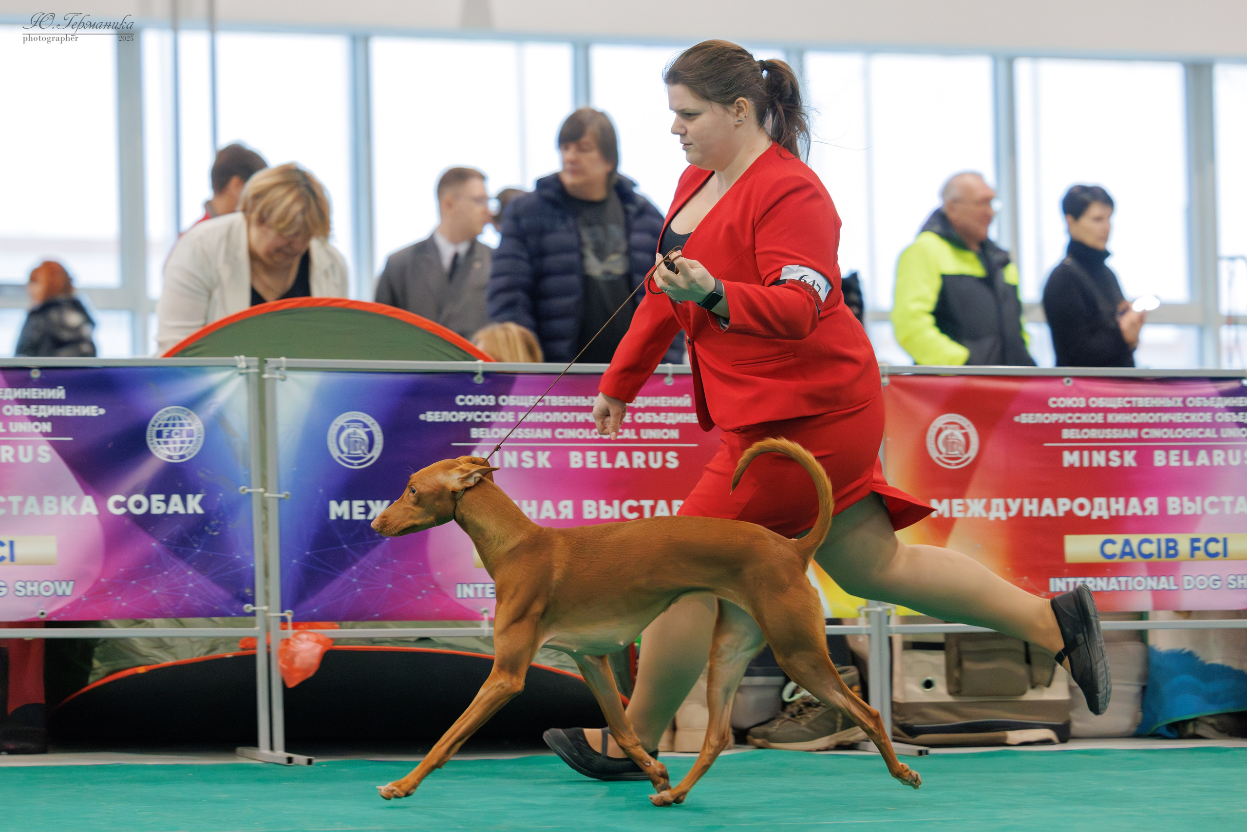 Минск 1-2.03.2025. Фотограф-анималист Юлия Германика