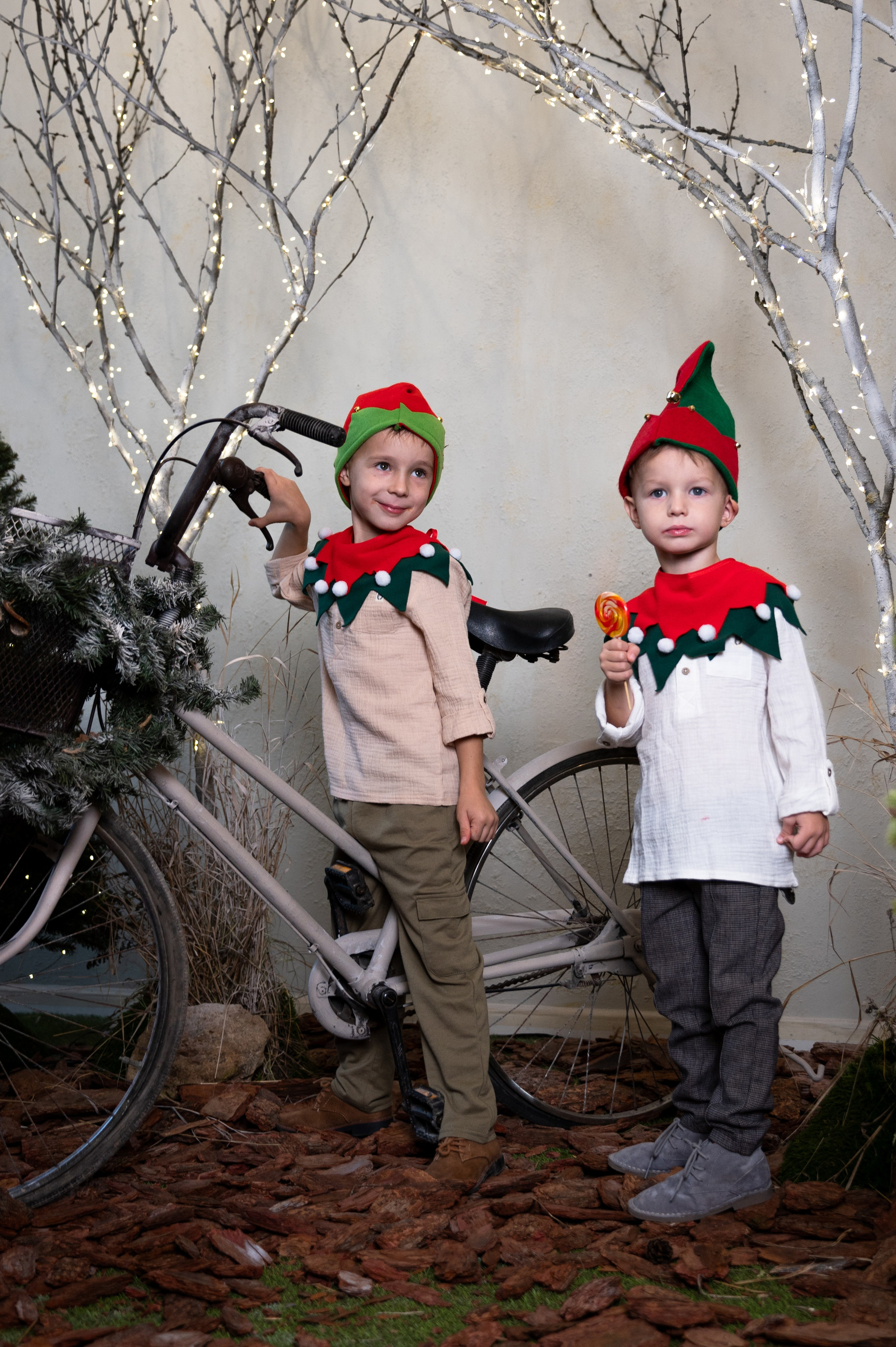 Гномики. Главная