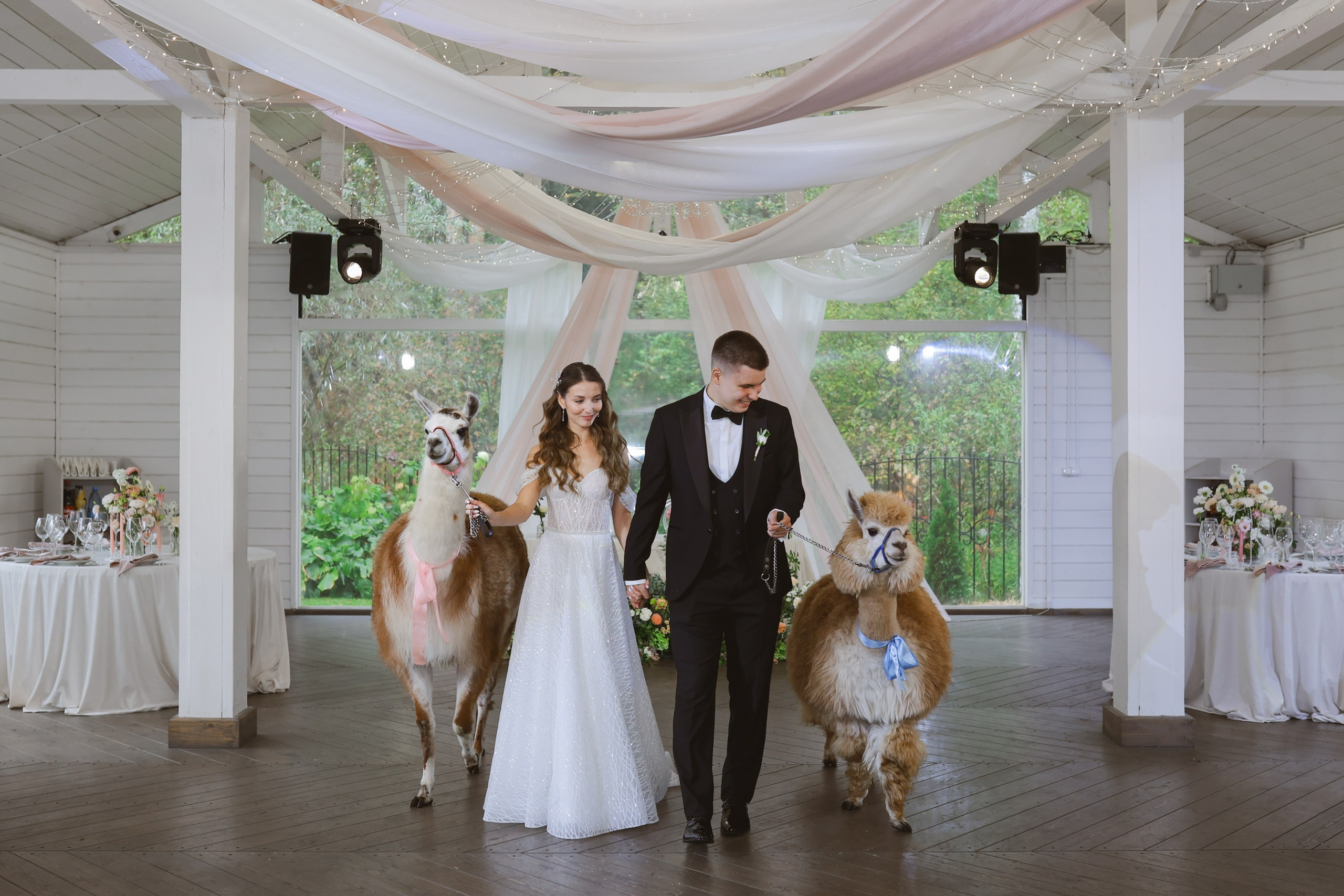 Зеленоградский ЗАГС. Свадебный фотограф Курзина Ольга | Москва