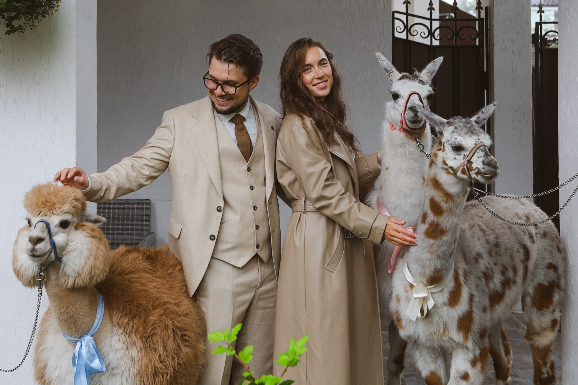 Зеленоградский ЗАГС. Свадебный фотограф Курзина Ольга | Москва