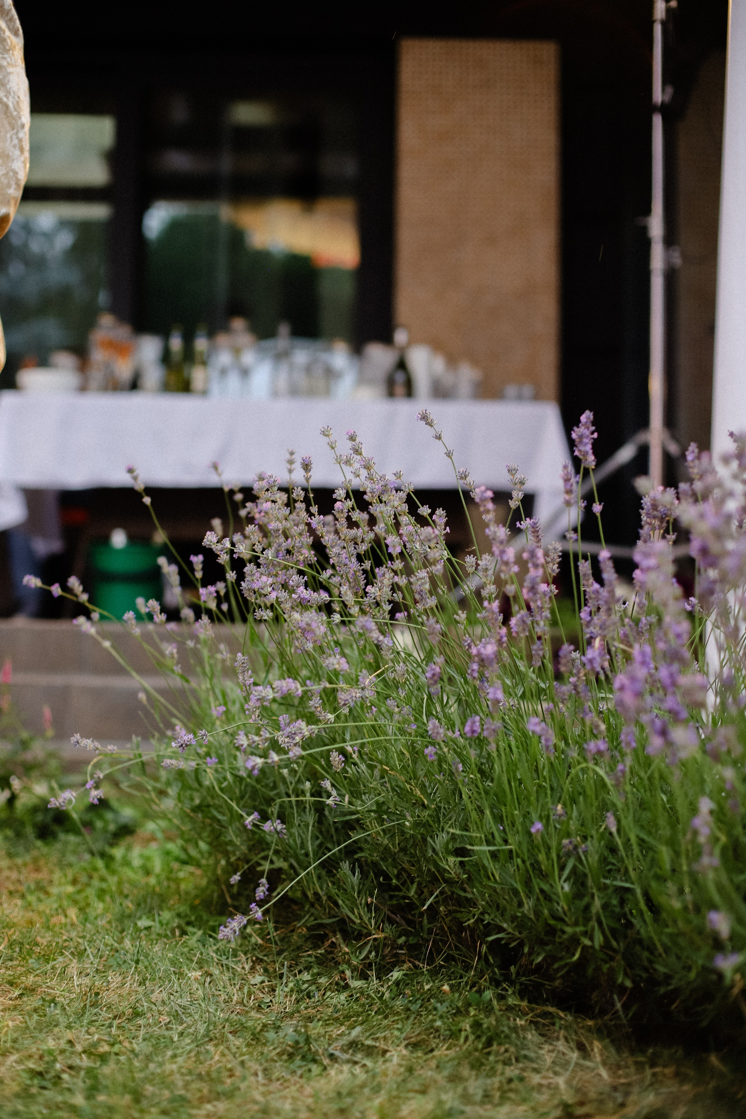Тамирис Сырка салу. Фотограф в Алматы и Москве Даша Пушкина
