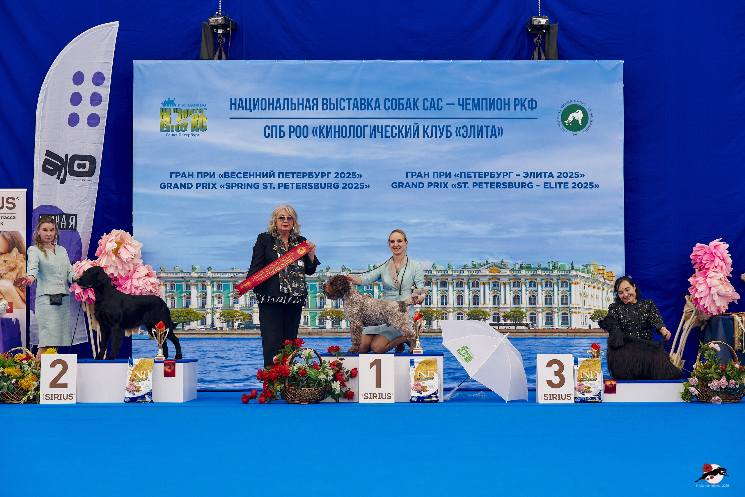 27.04.2025 | "Петербург-Элита 2025" & «КУБОК «ЭЛИТЫ»-2025»