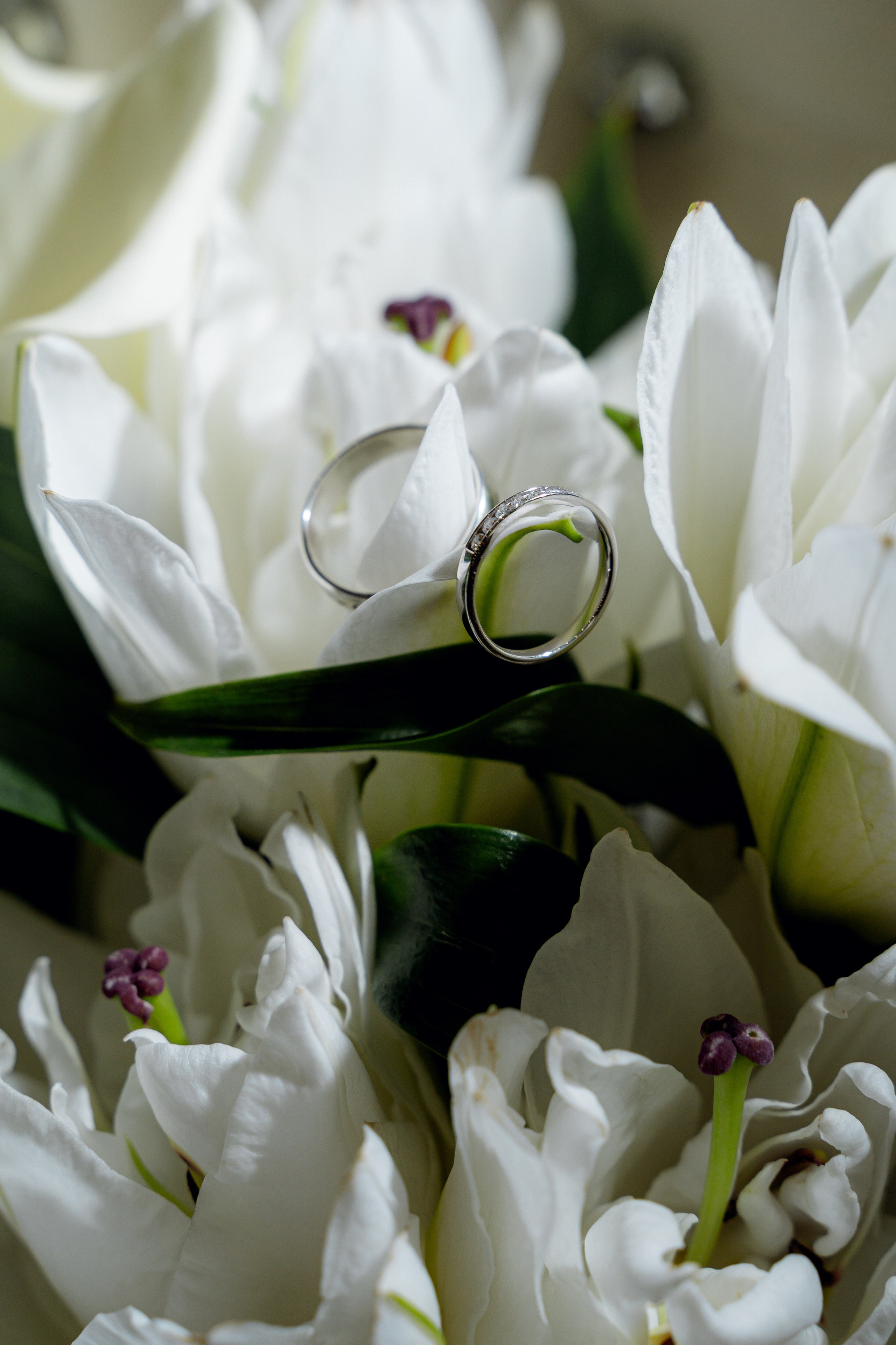 Динур & Аделя. RAMIL SAFIULLIN