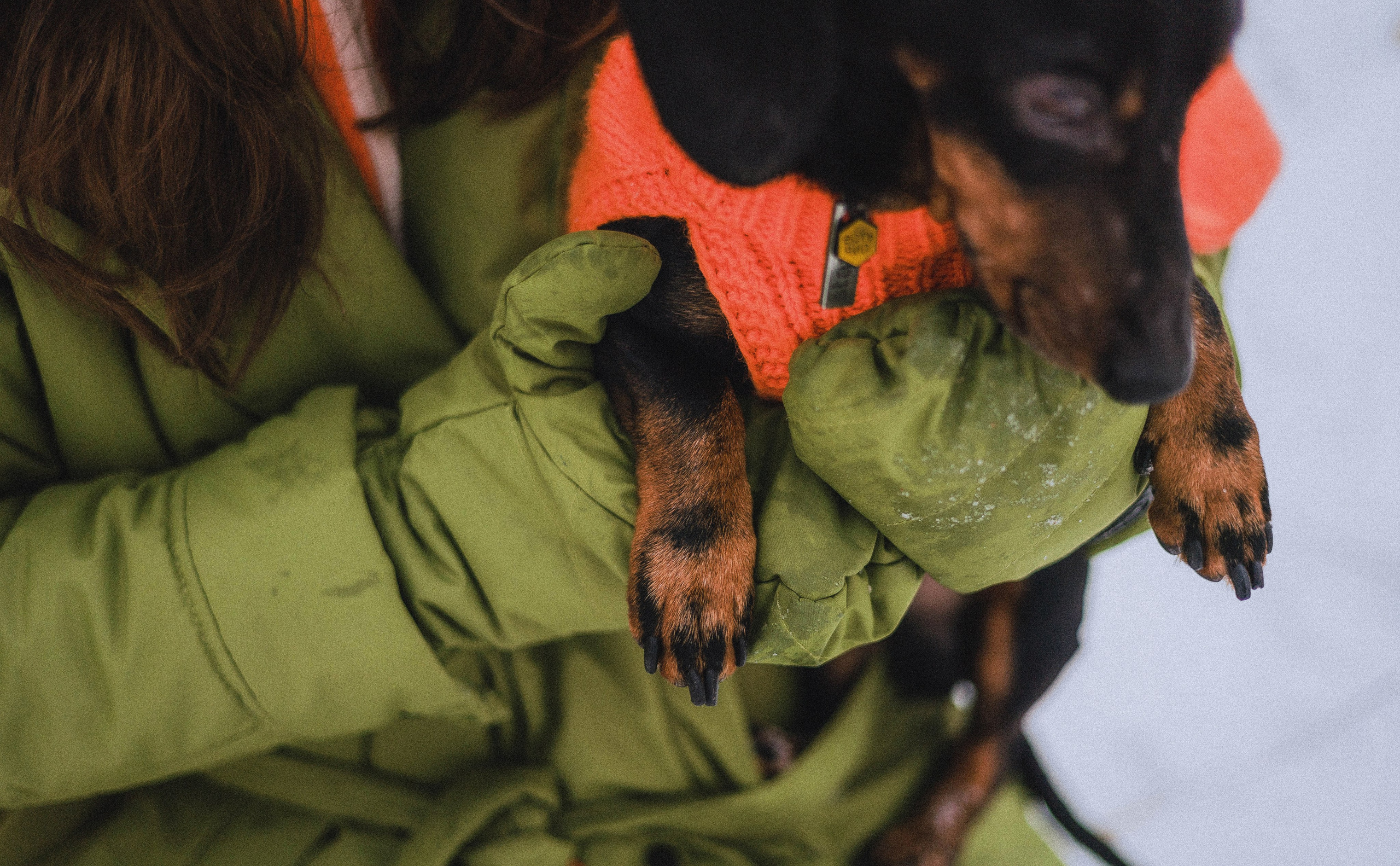 Маша, Рэм и Ньютон. Фотограф-анималист Богданова Полина