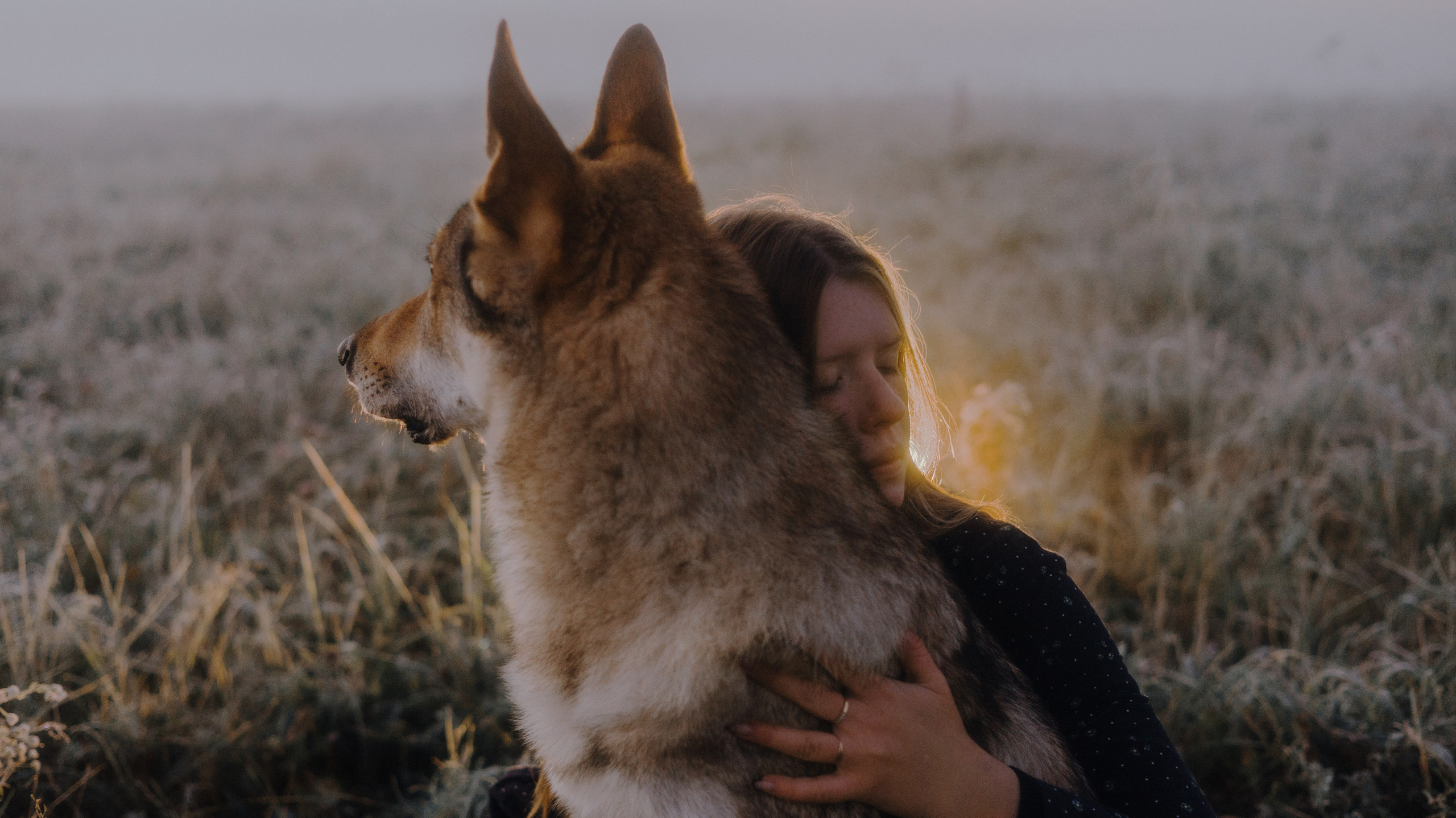 Полина и Вегард. Фотограф-анималист Богданова Полина