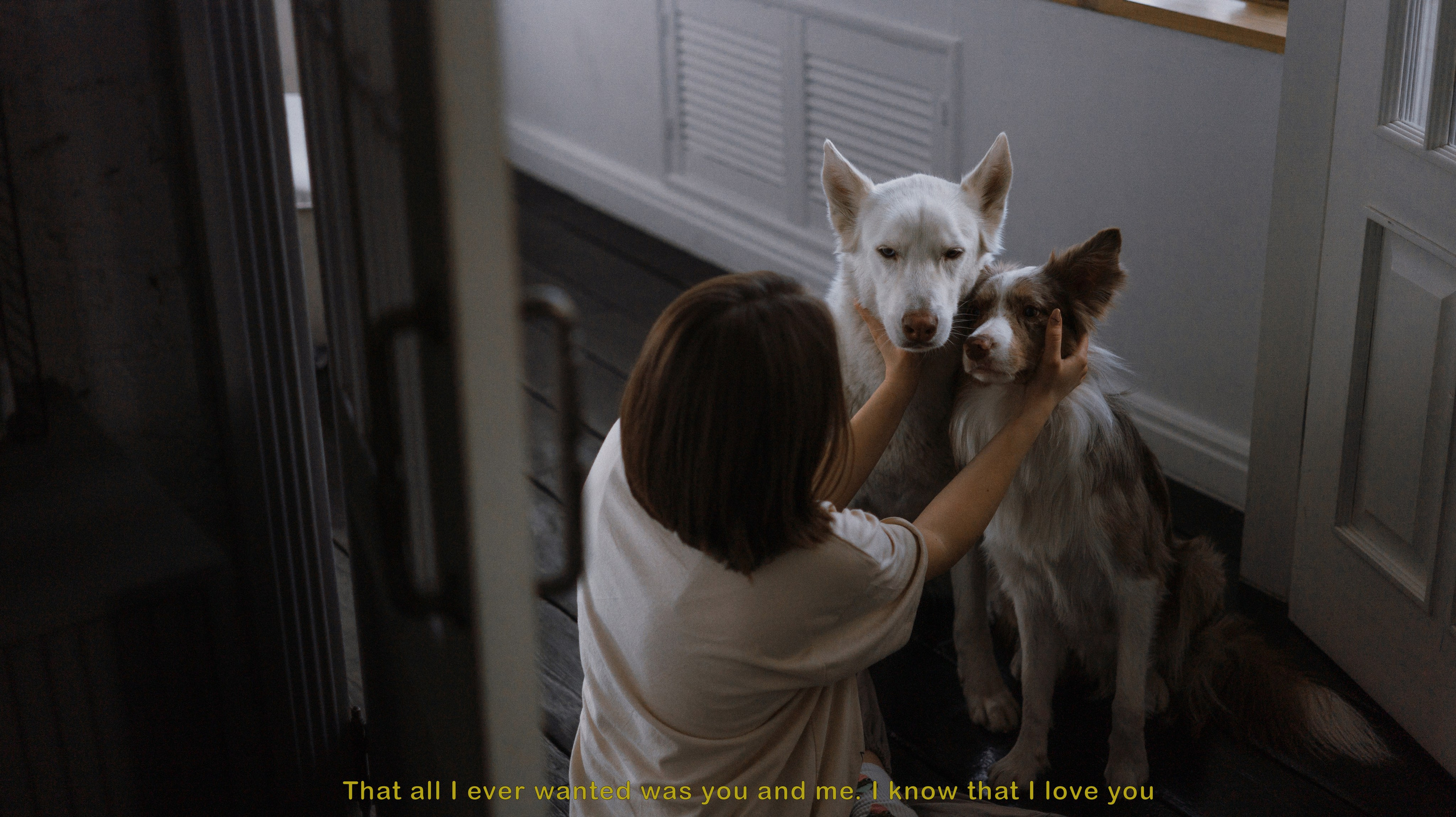 Аня, Дэймон и Грэй. Фотограф-анималист Богданова Полина