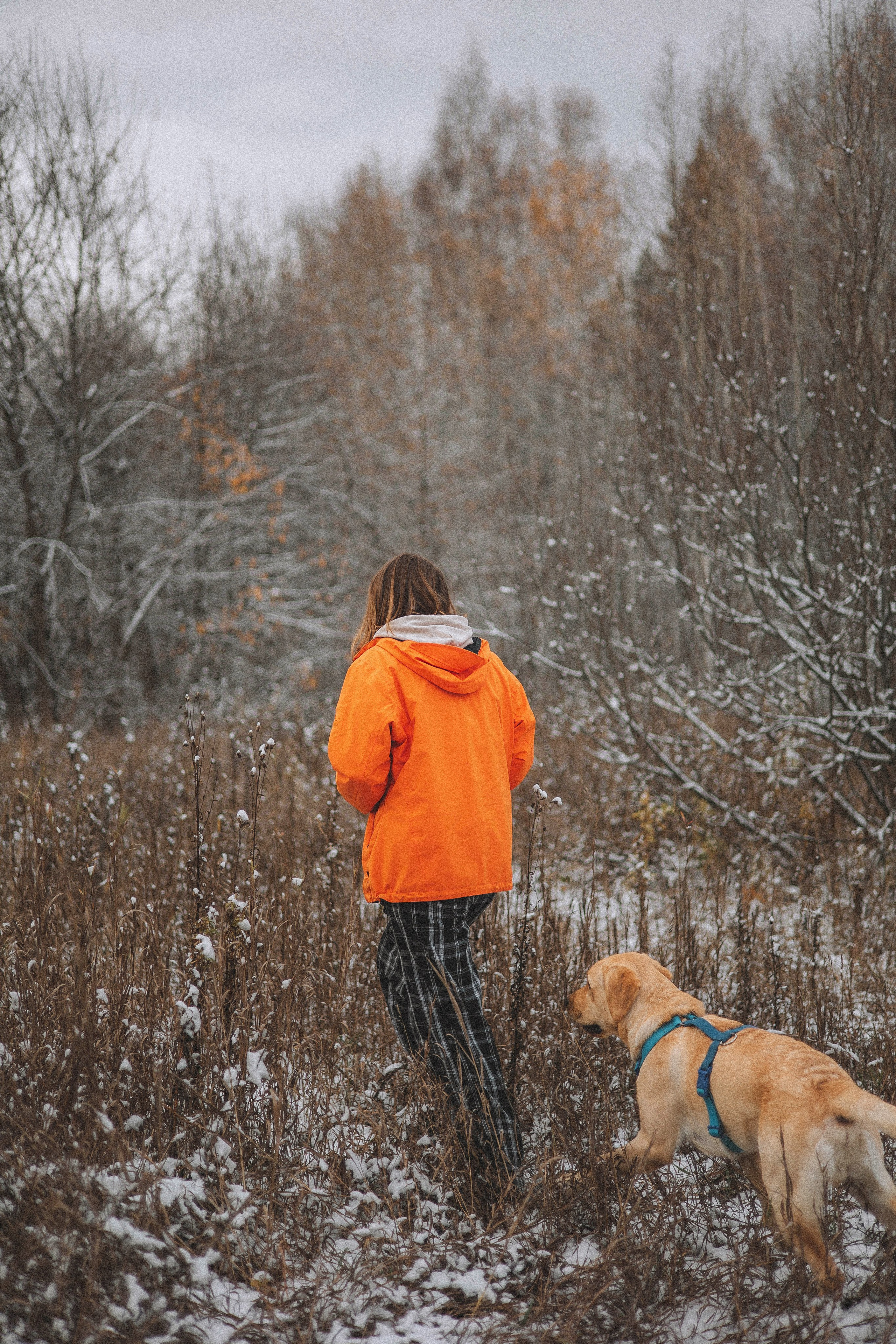Маргарита и Варди. Фотограф-анималист Богданова Полина
