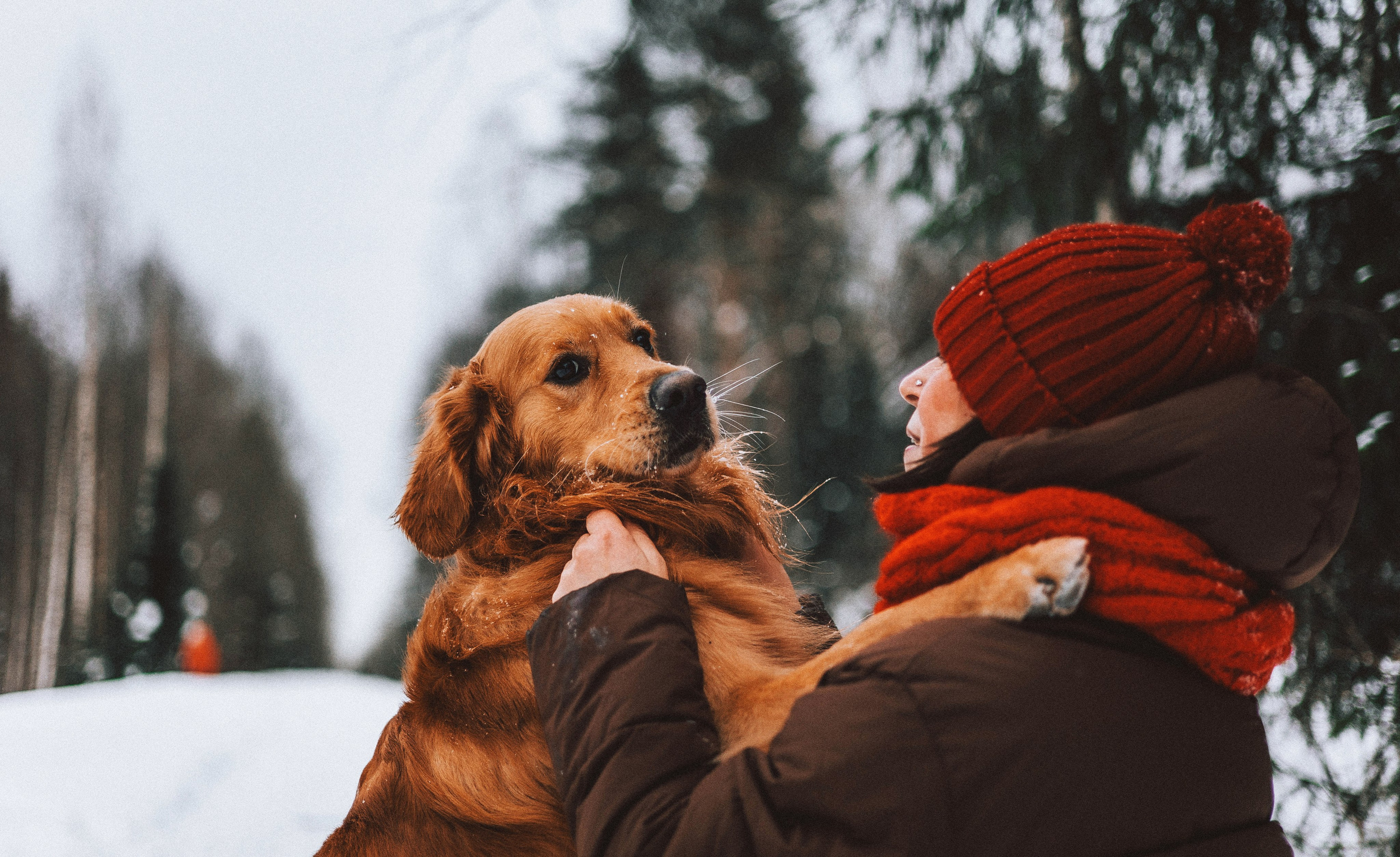 Саша, Юля, Грэй и Джой. Фотограф-анималист Богданова Полина