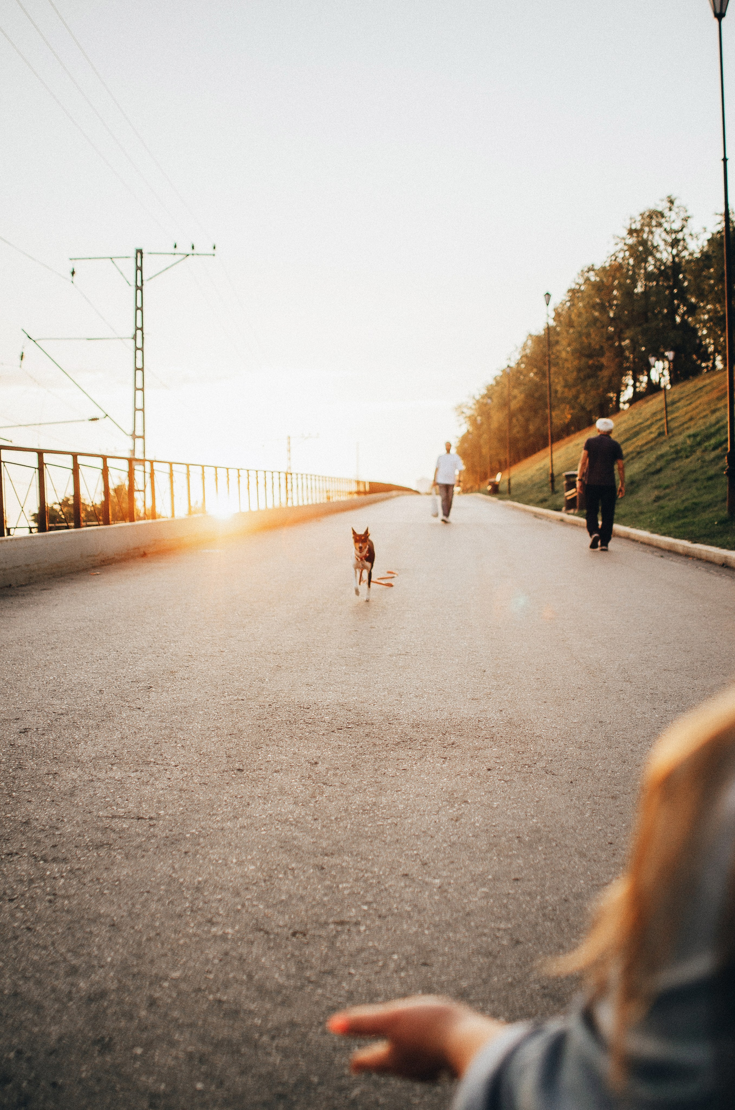 Лена, Никита и Эсма. Фотограф-анималист Богданова Полина