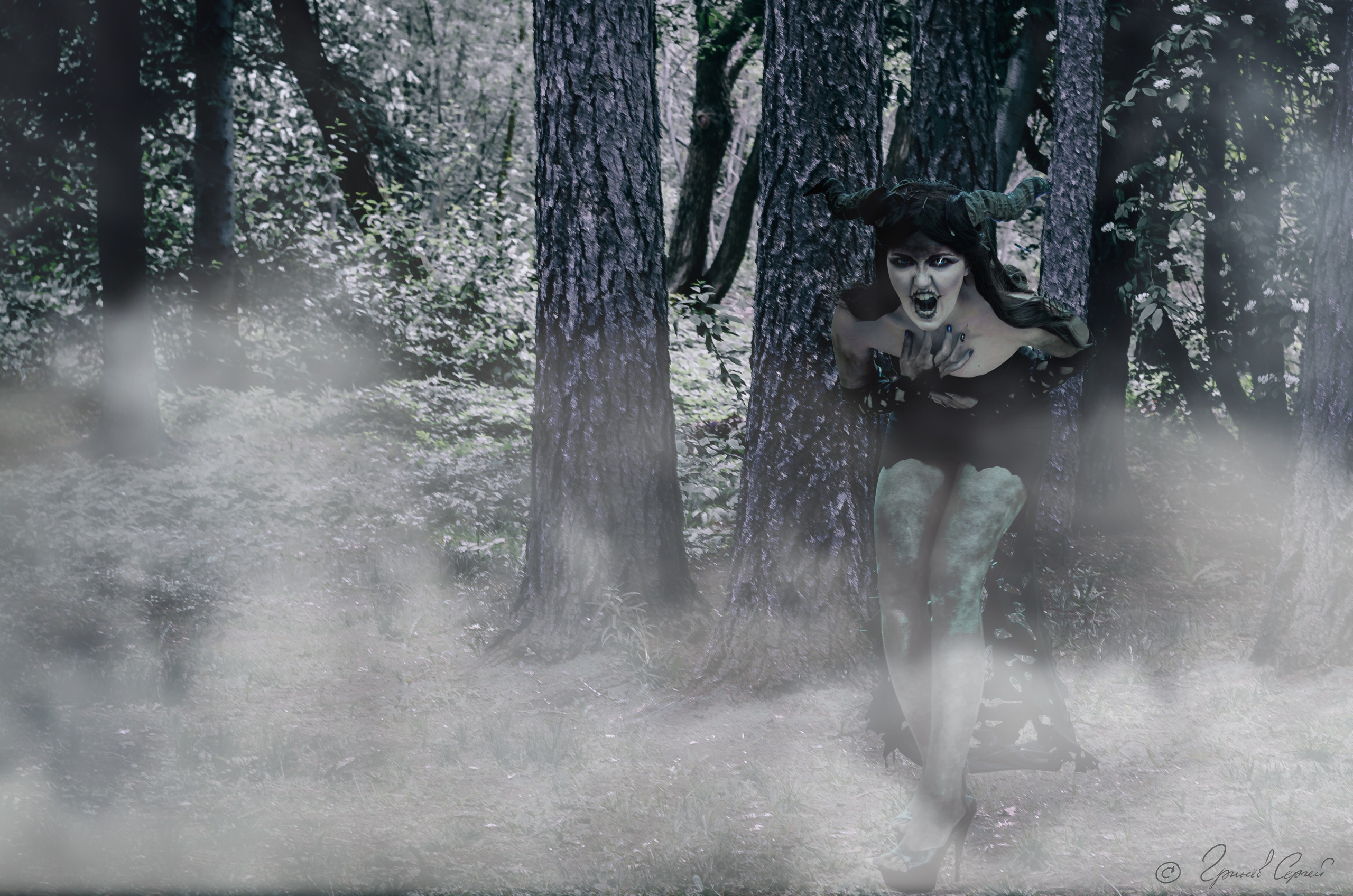 Анимэ… Фэнтези…. Фотограф