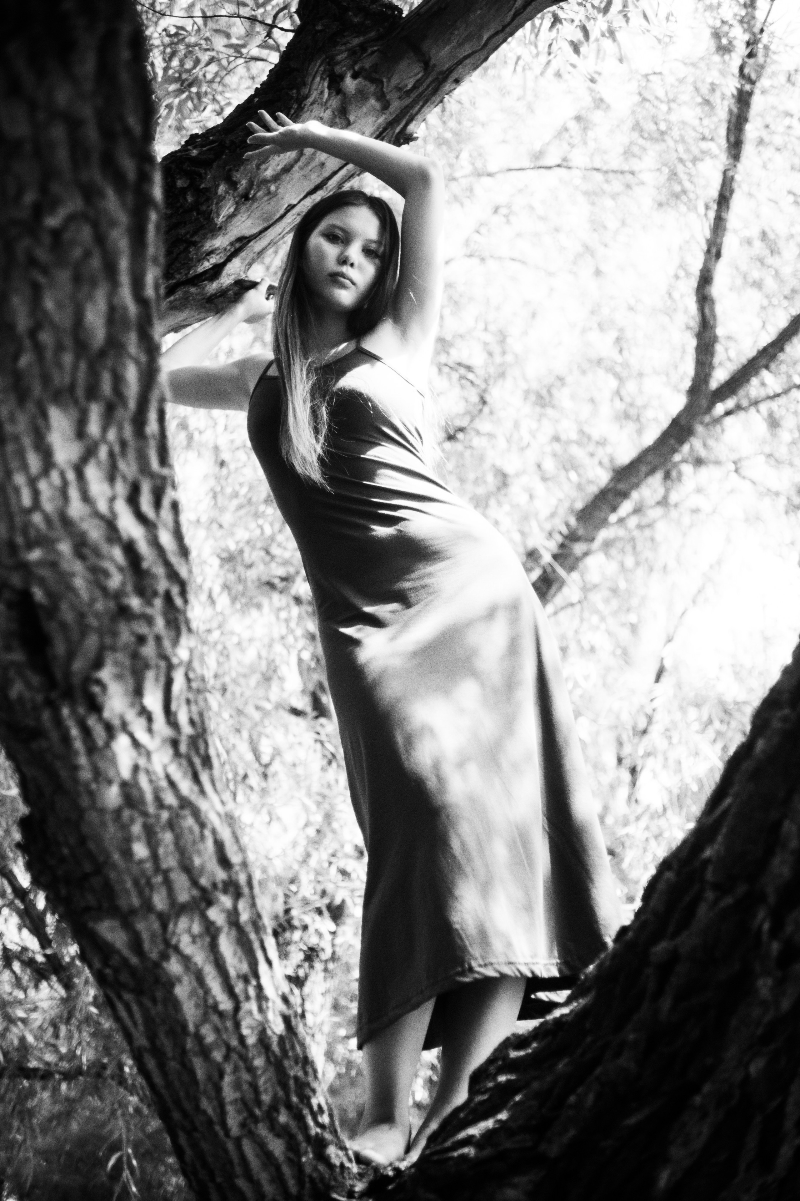 Дарна на дереве. Фотограф Коробова Екатерина