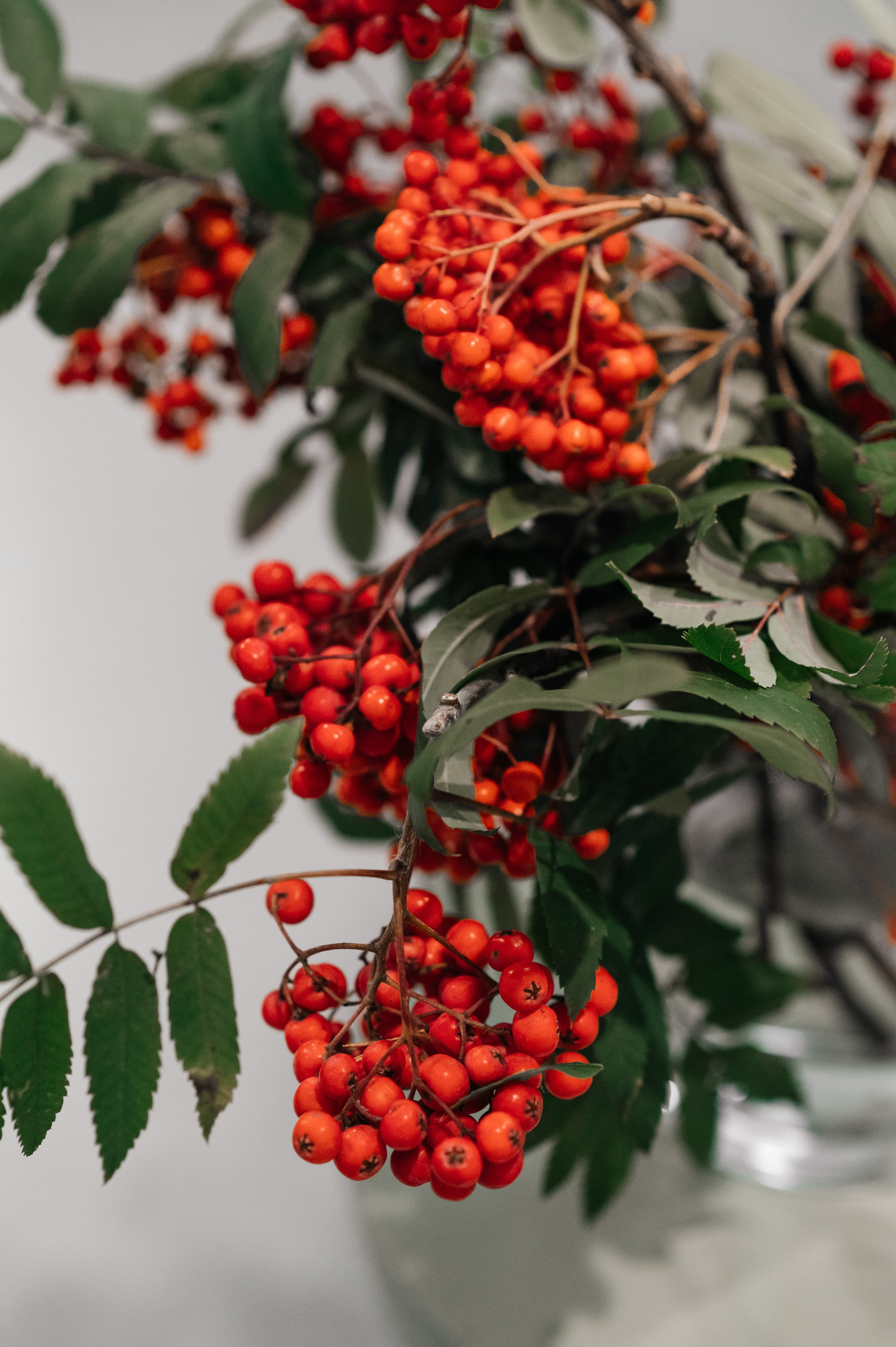 Вечер поэзии Цветаевой, клуб Читалка. Wedding and family photographer USA