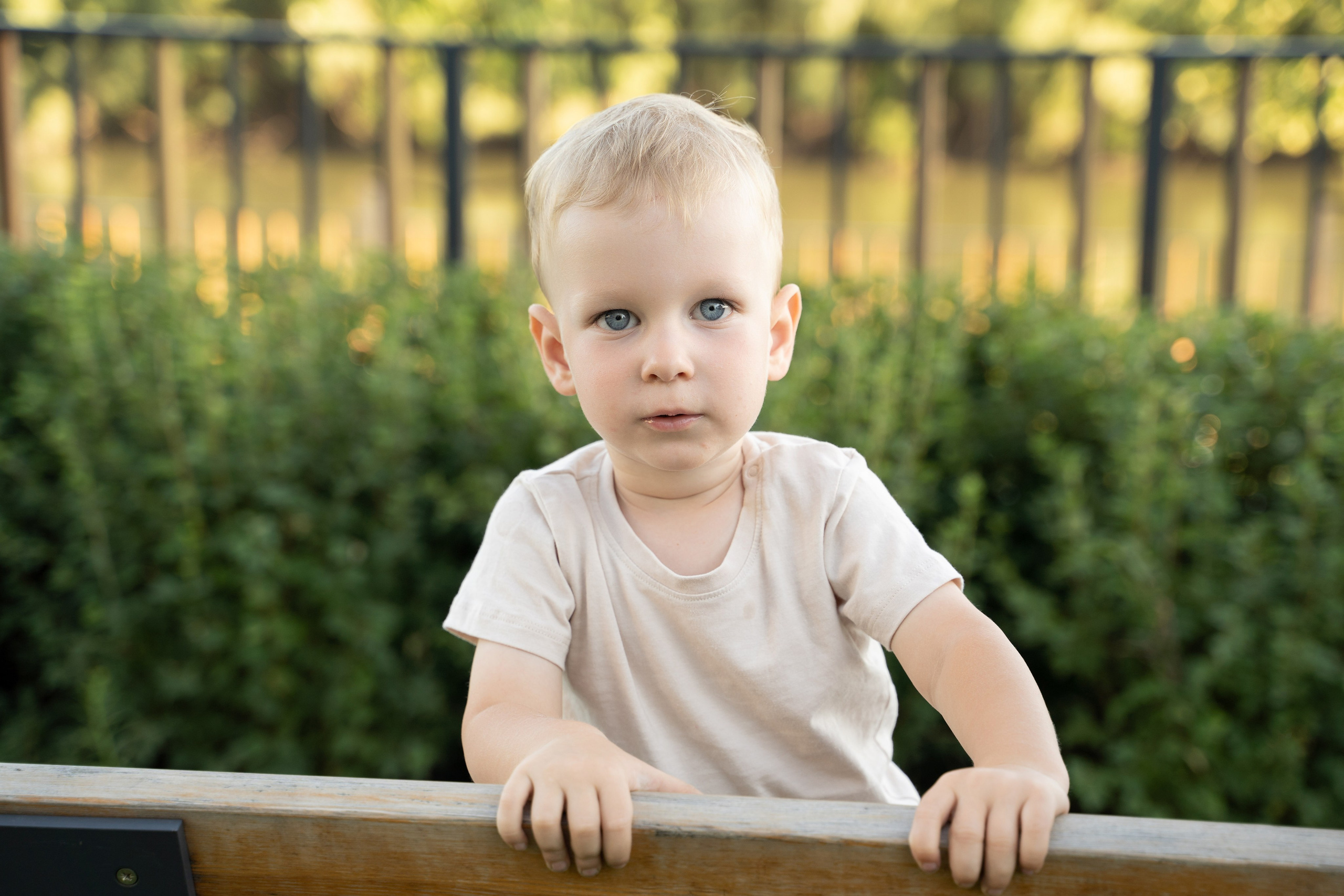 Семейная прогулка. Главная