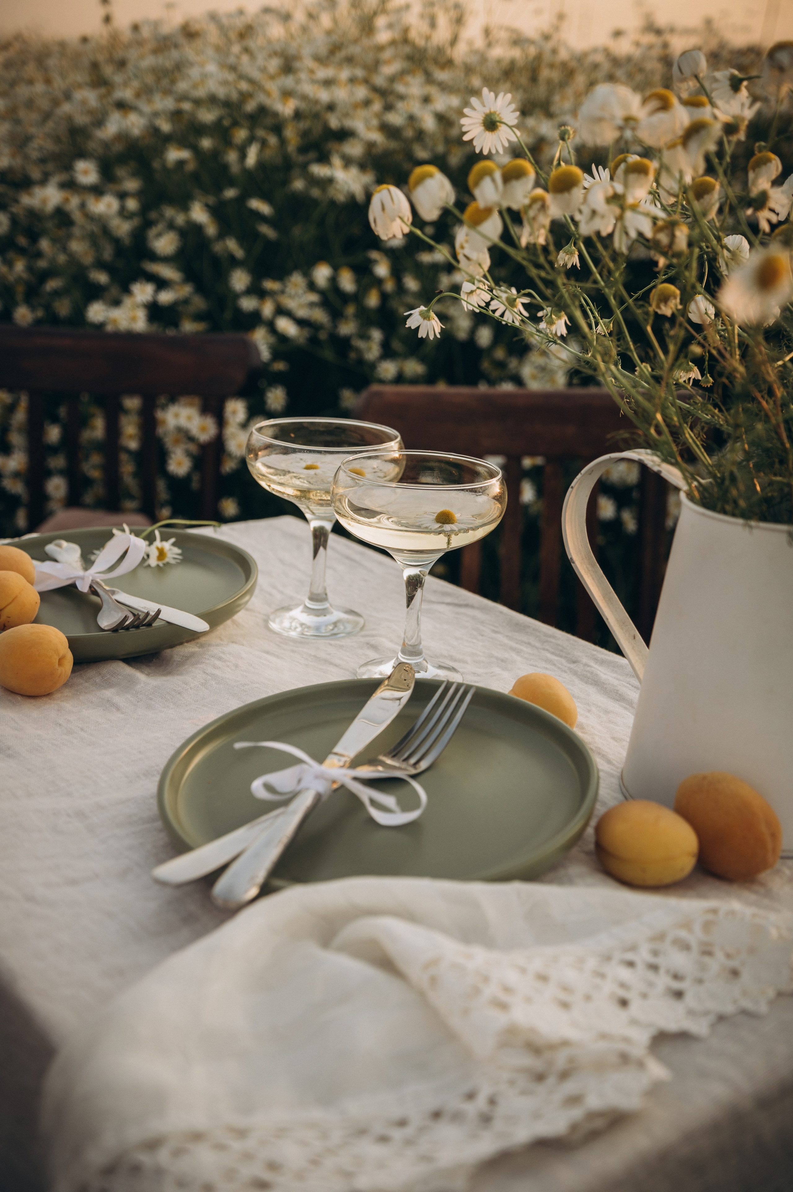 Ромашковое вдохновение. Фотограф Мария Стрелкова