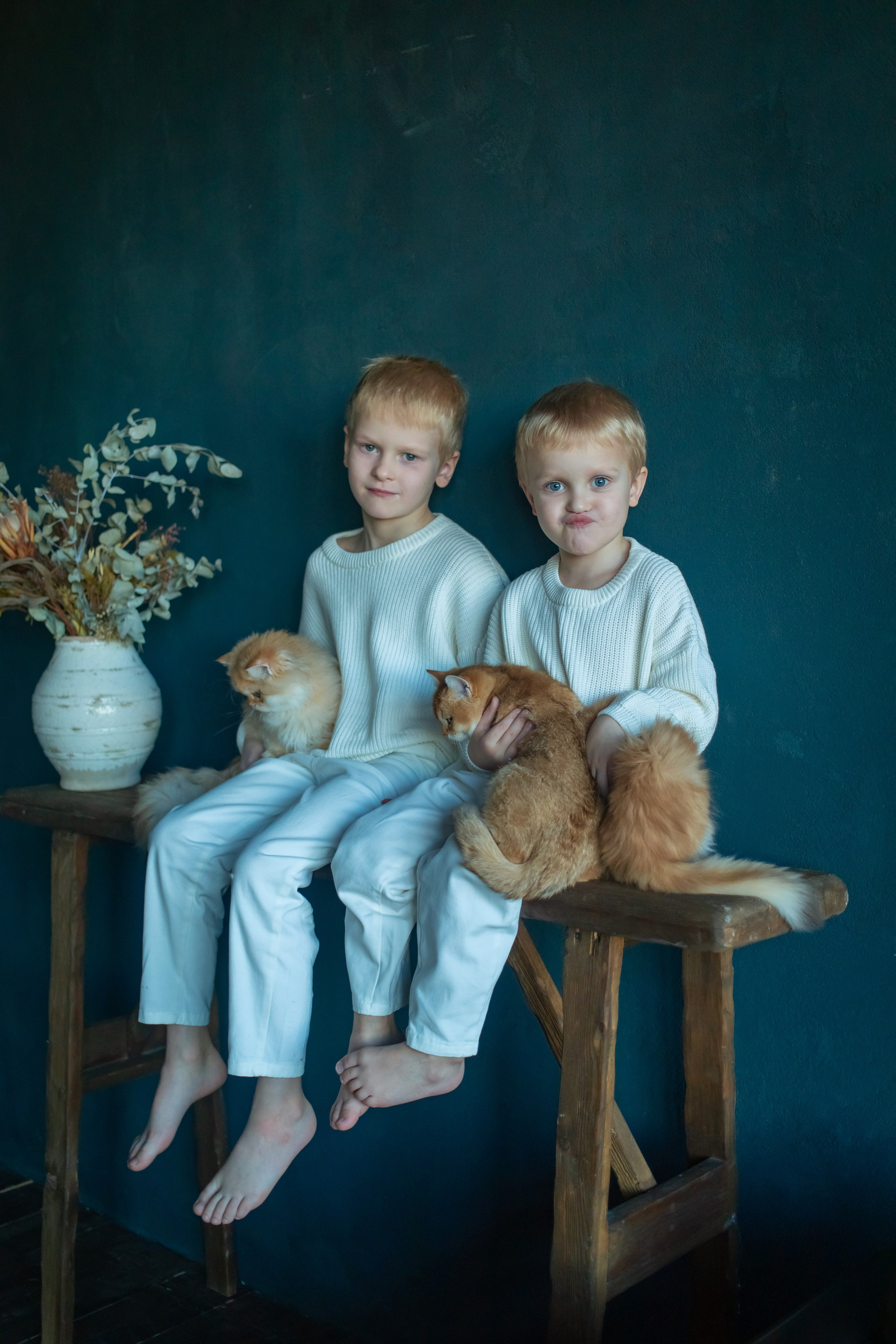 Детская фотосессия с котятками в студии в СПБ