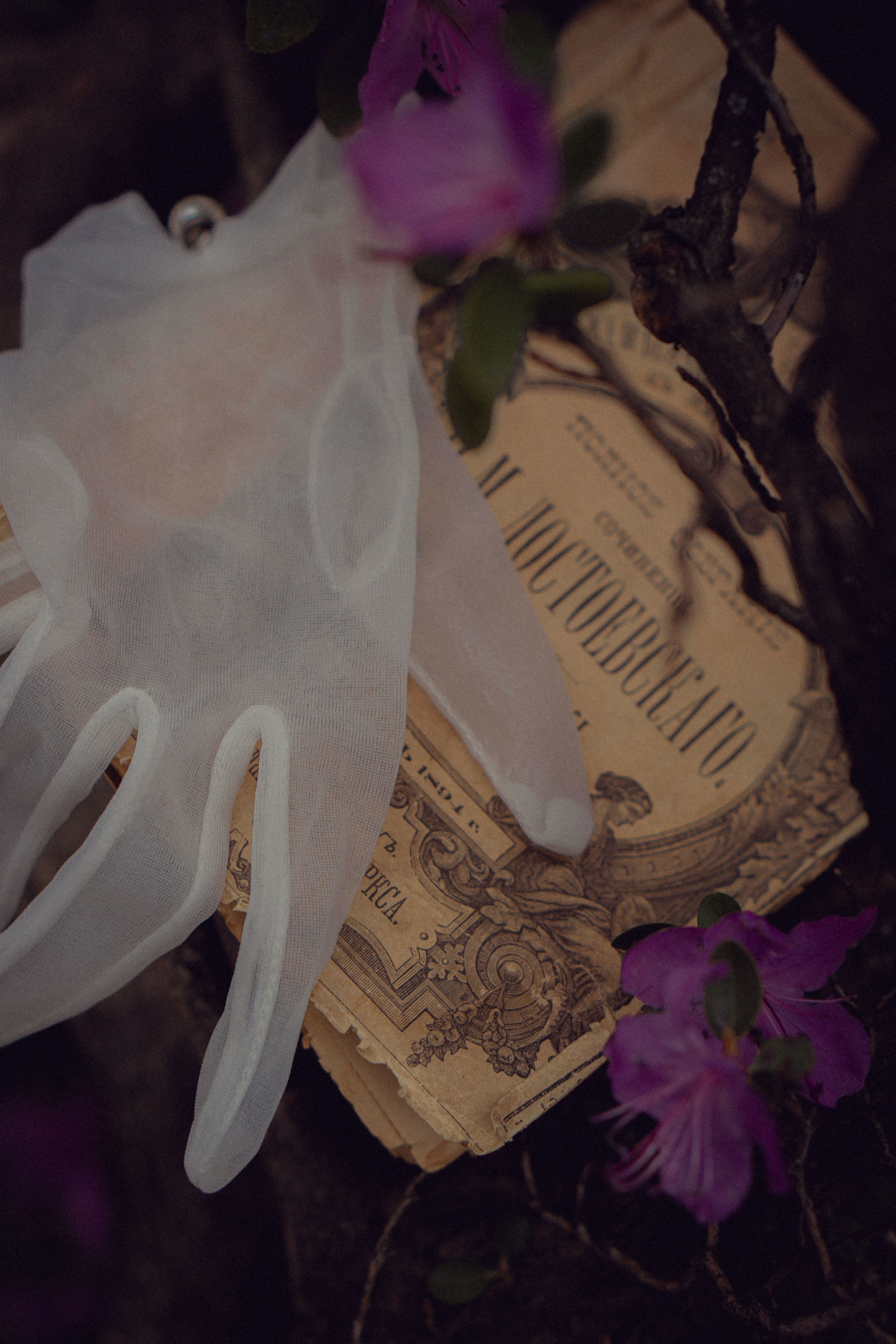 Викторианская романтика. Художественный фотограф Салаева Алина