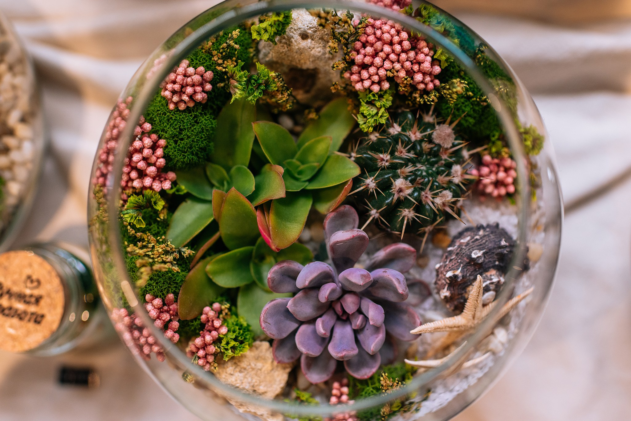 ВАУ Фест. Март 26. Репортажный фотограф в Санкт-Петербурге Анастасия Клёпова