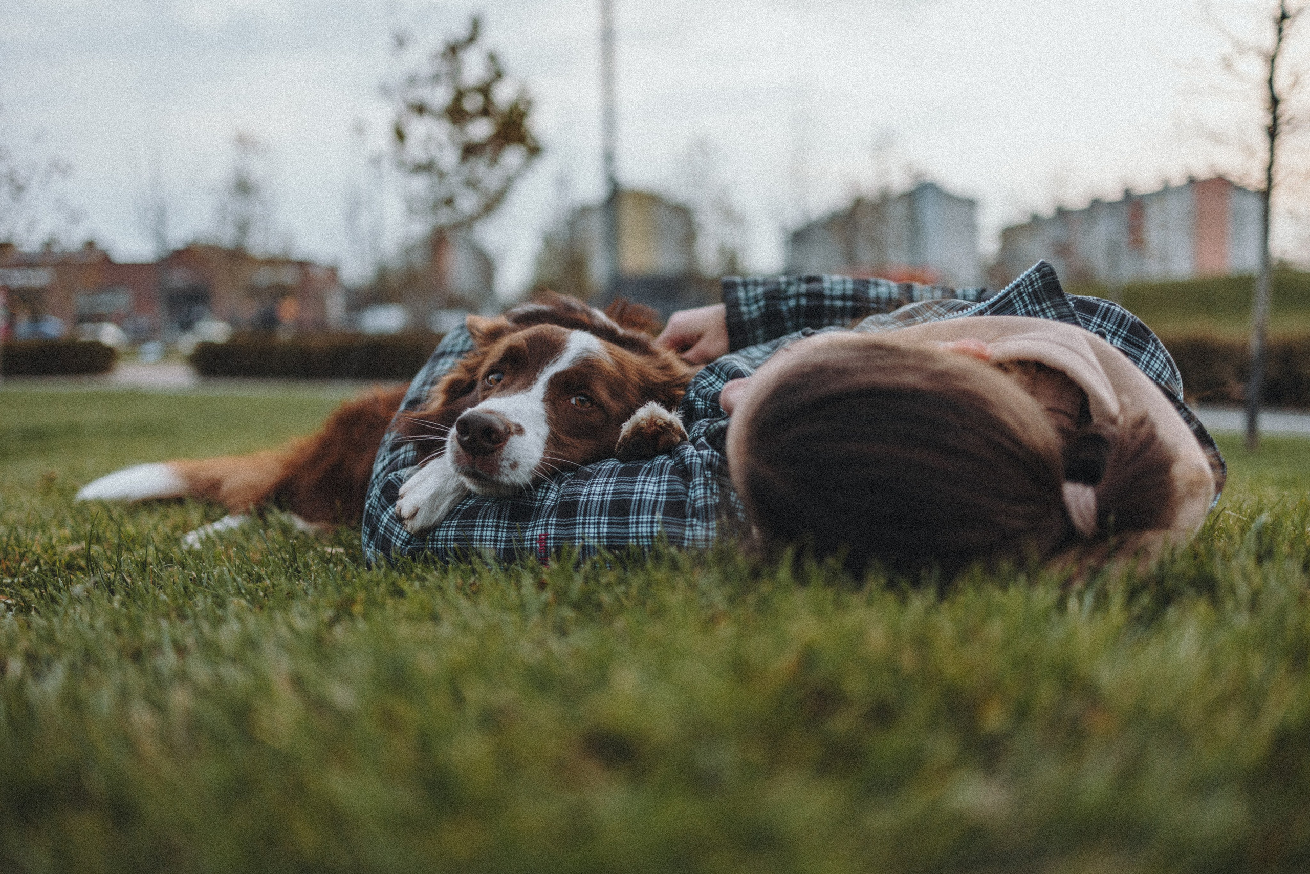 Маша и Тори. Фотограф — анималист Светлана Кысса|фотограф собак в Краснодаре и Нижнем Новгороде