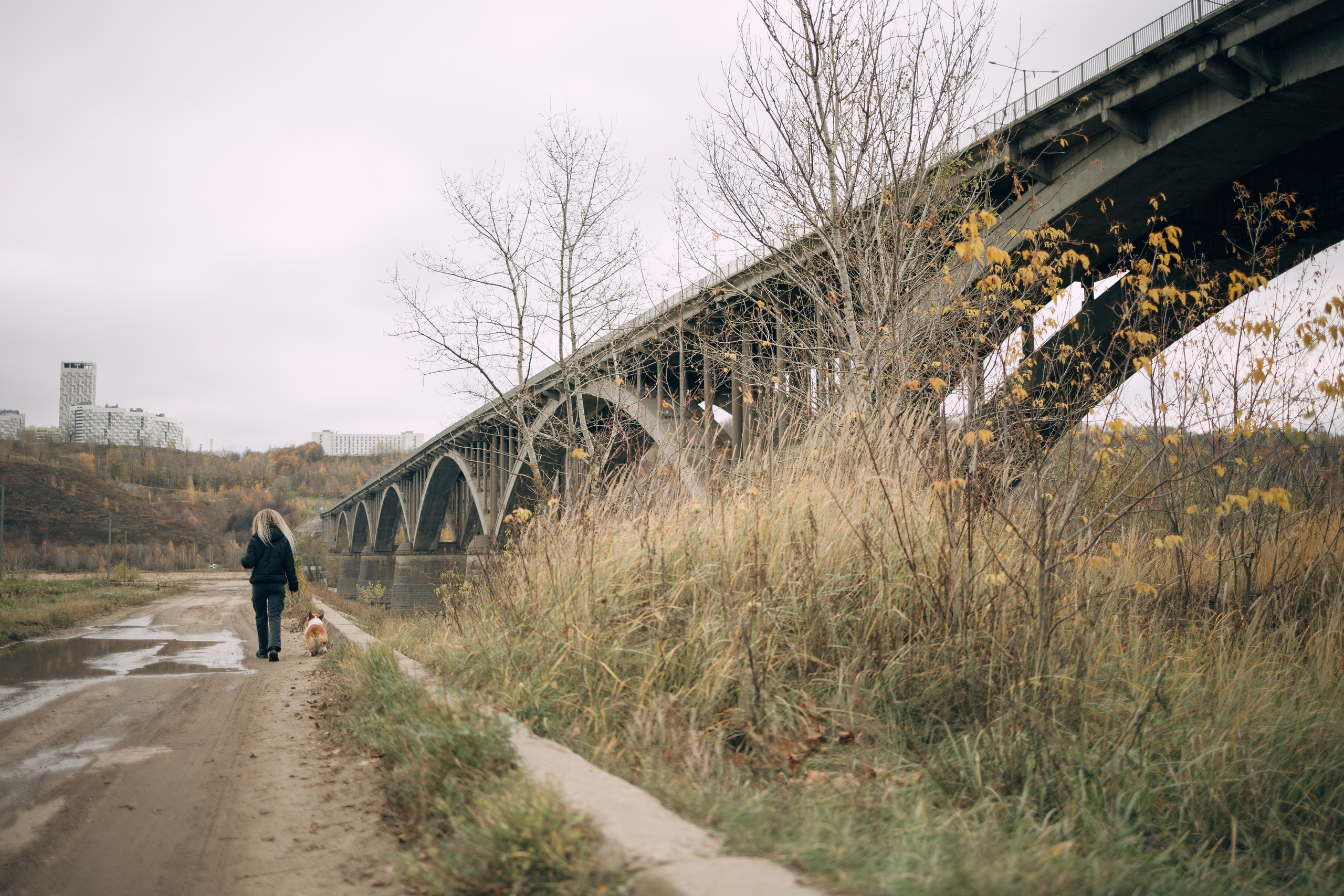 Надя и Перси. Фотограф — анималист Светлана Кысса|фотограф собак в Краснодаре и Нижнем Новгороде