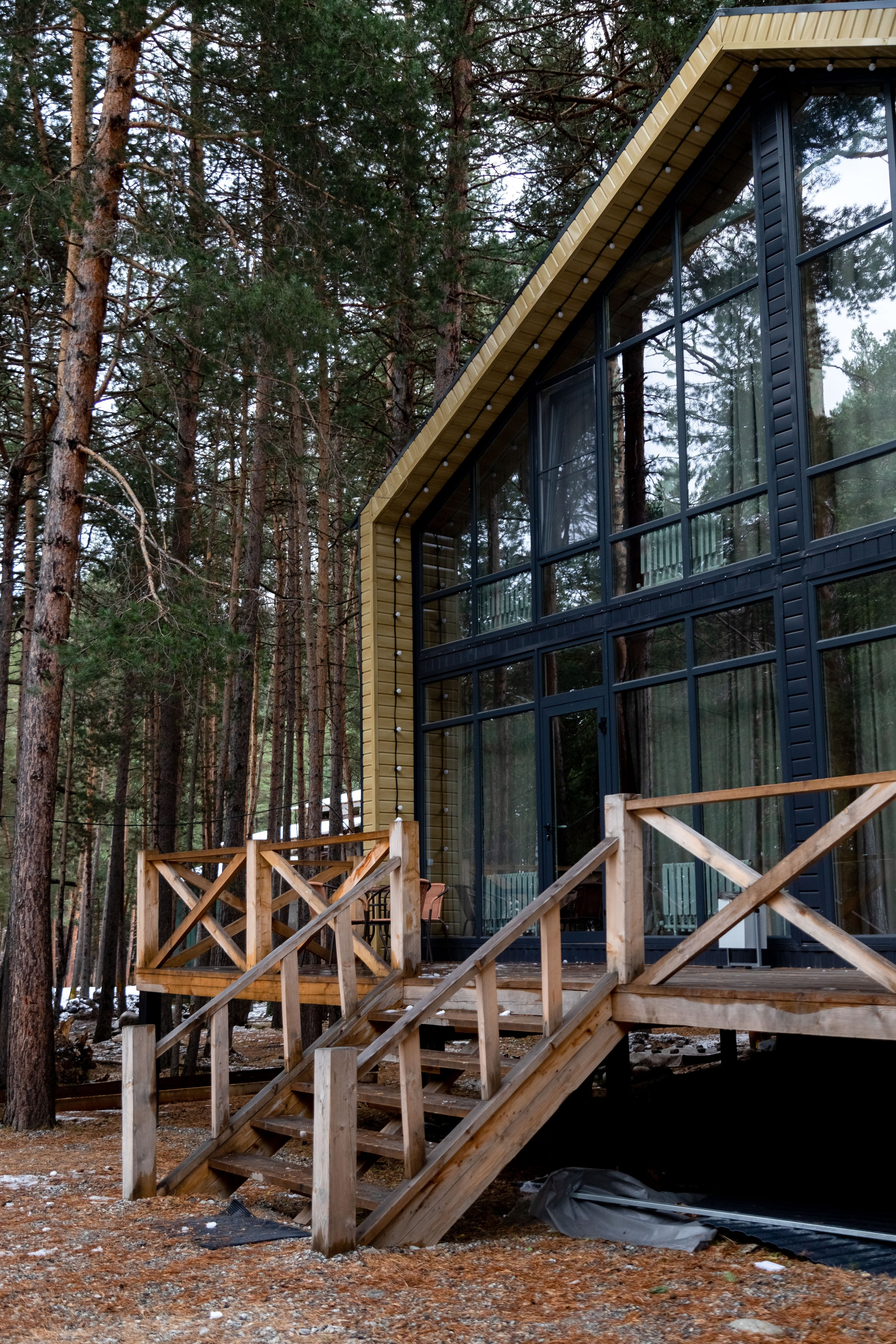 Wood 5642. Главная