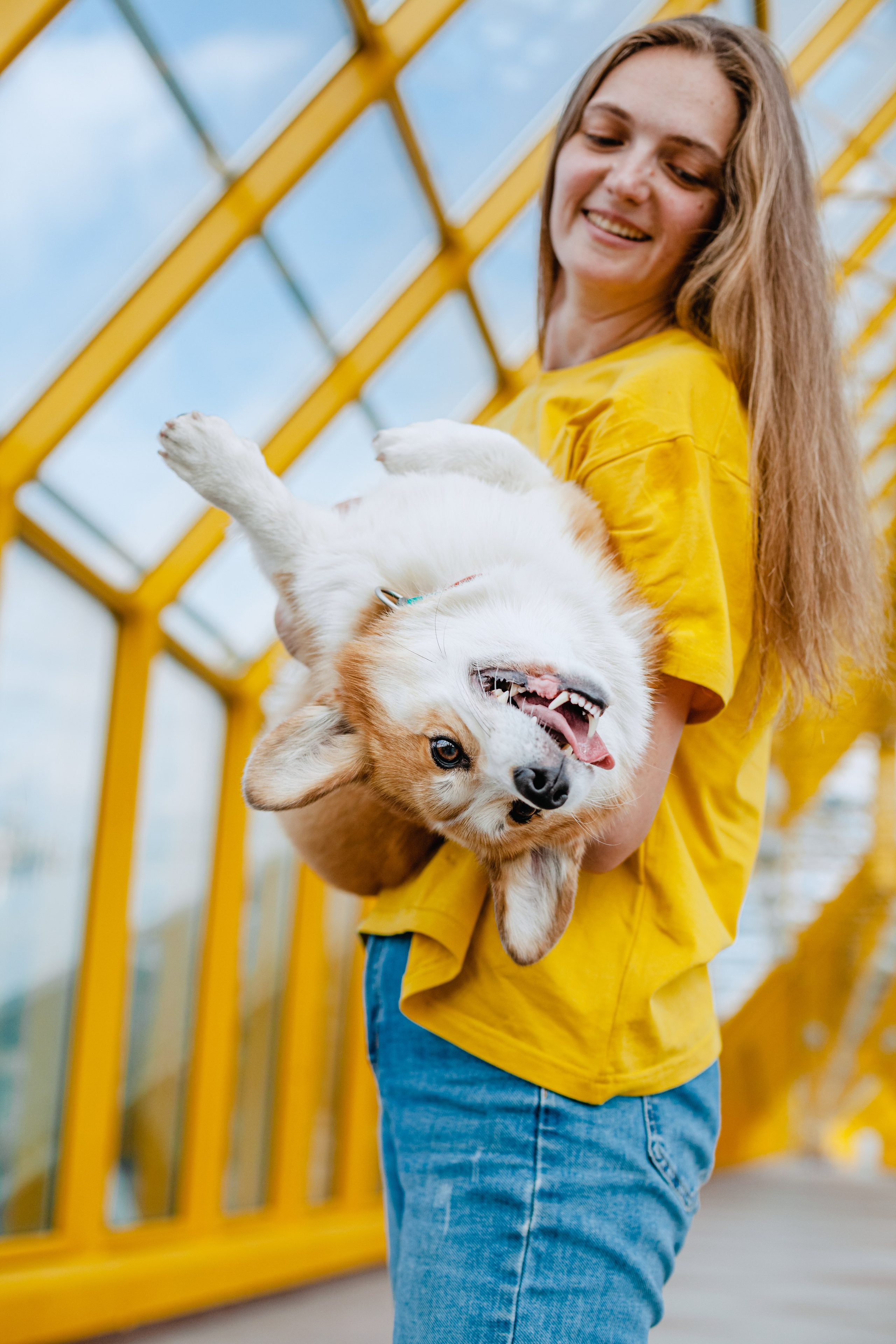 Андреевский мост. Фотограф-анималист Татьяна Степанова
