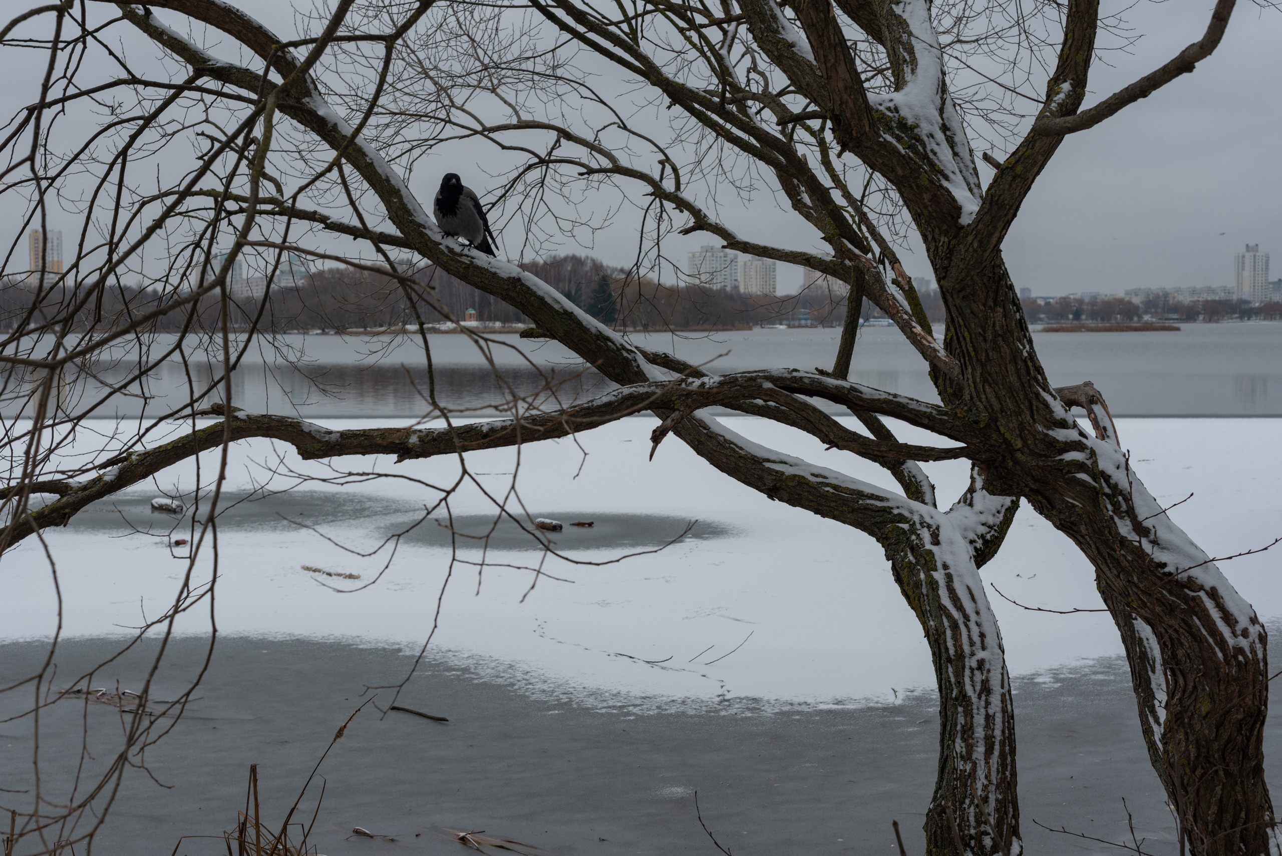 Контакты. Фотограф Крещения и Венчания. Минск и другие города. Почтенная Наташа
