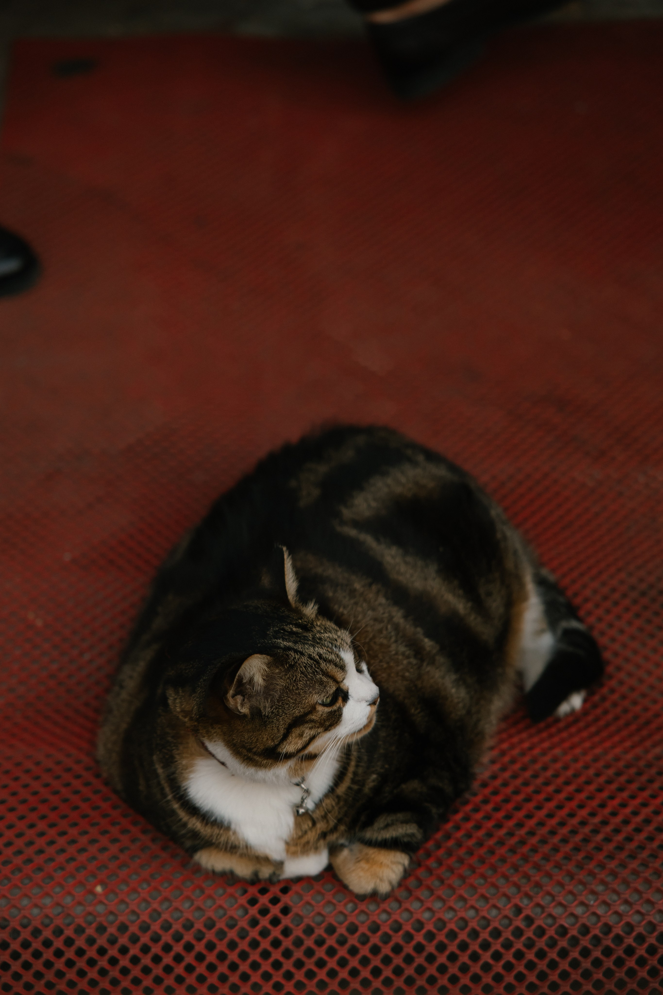 На рассвете