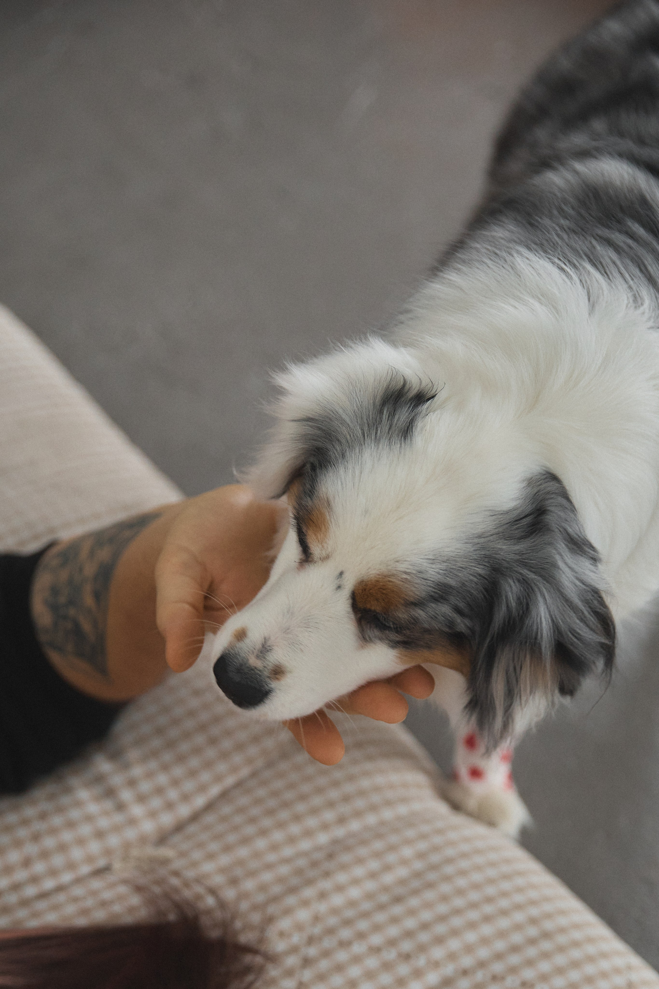 Лера и Артем. Свадебный и семейный фотограф