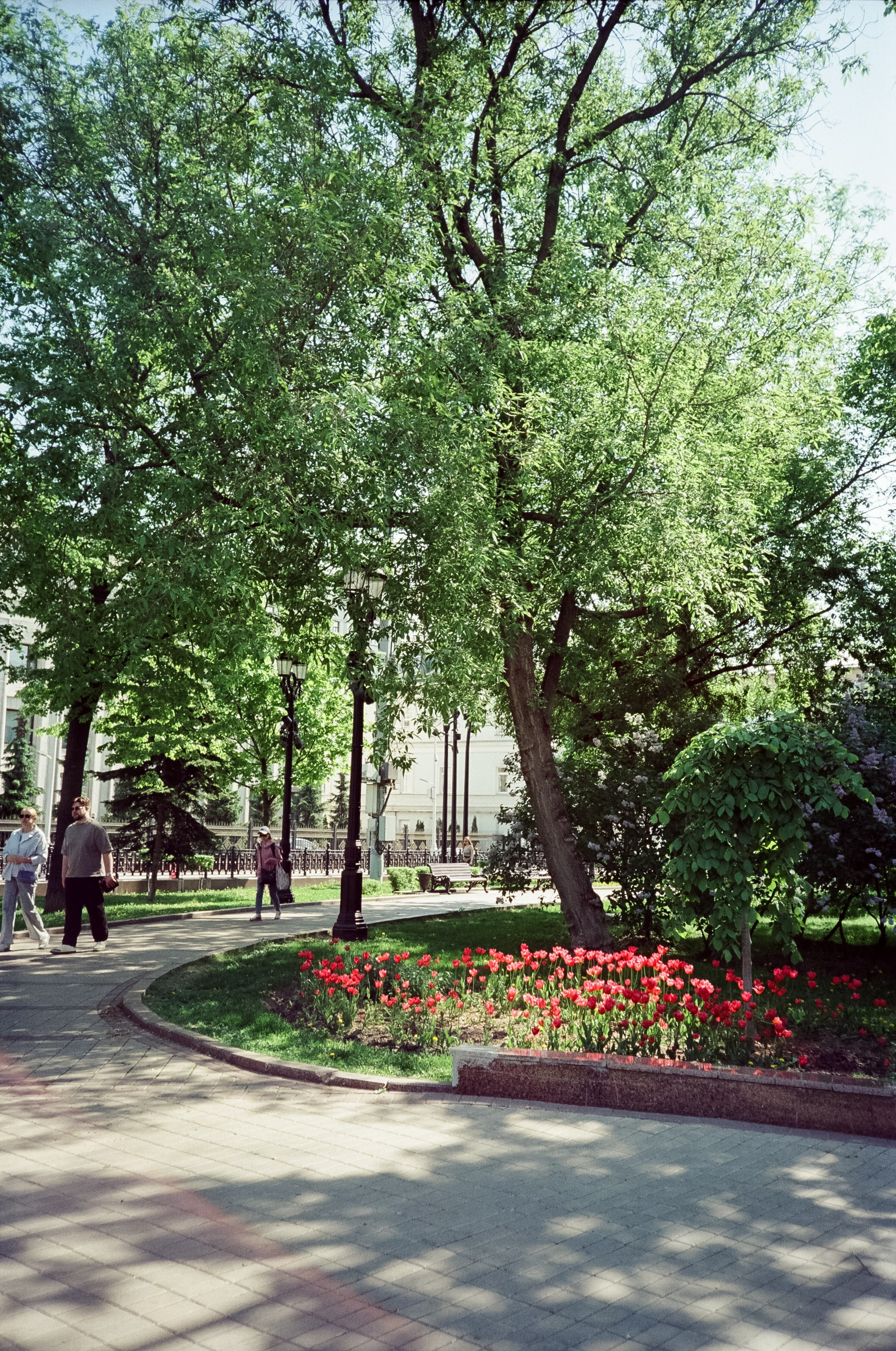 SFL 200T (Kodak Vision3 200T) примеры фотографий