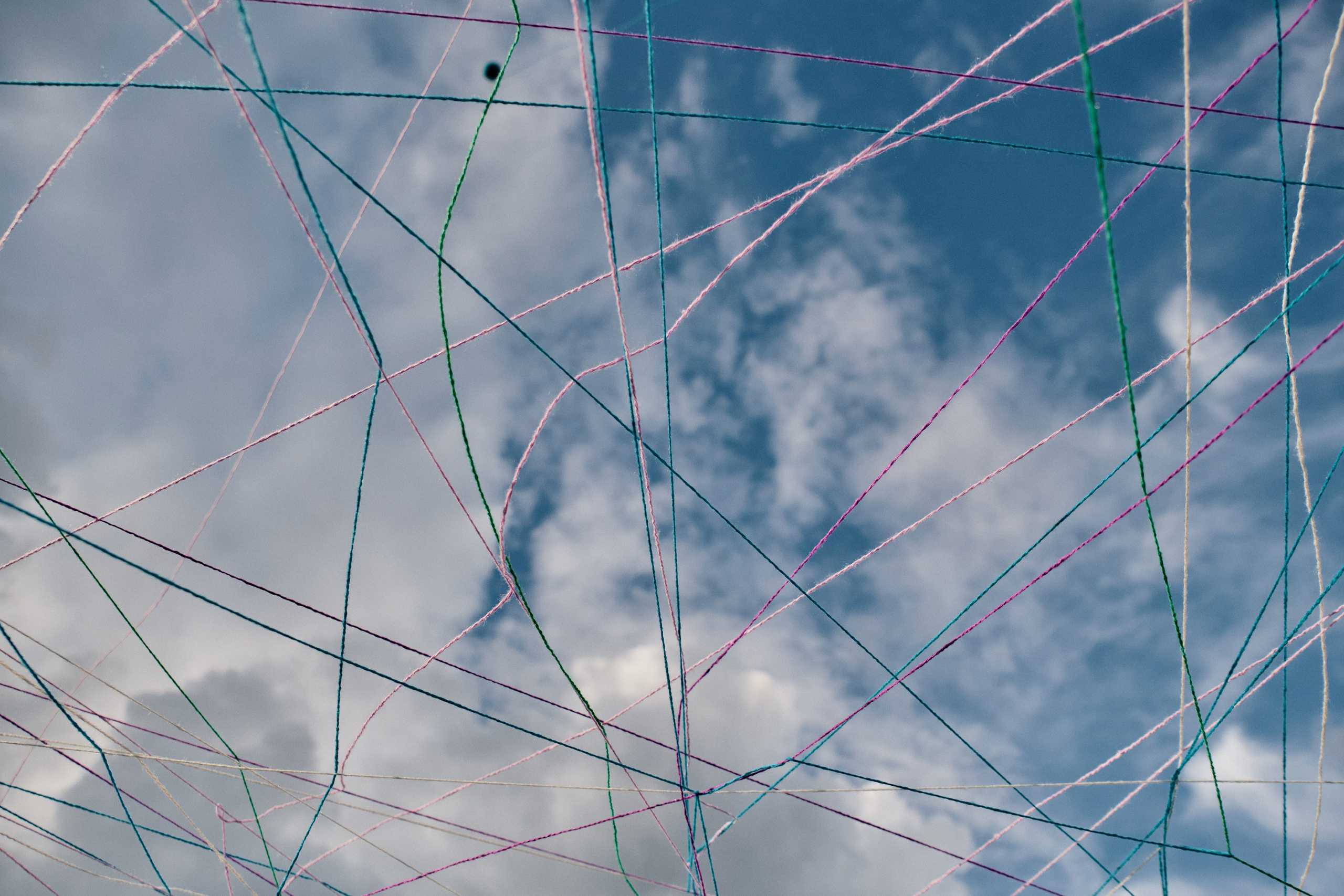 Тимбилдинг. Останкино. ФОТОГРАФ Кристина Павлова | МОСКВА