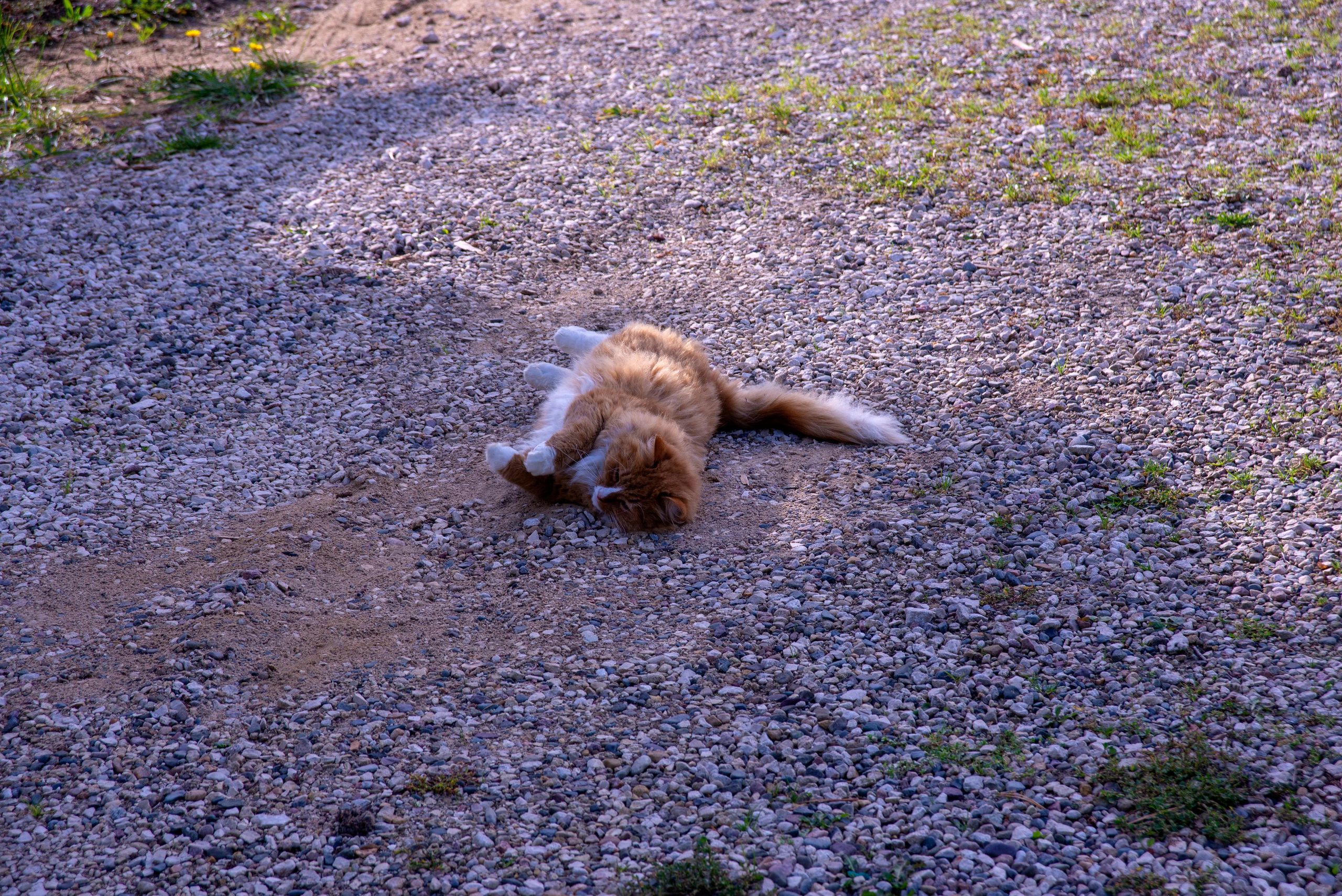 Суздаль. 20 сентября 2025. Игорь Жучков. Россия увиденная глазами путешествующего фотографа