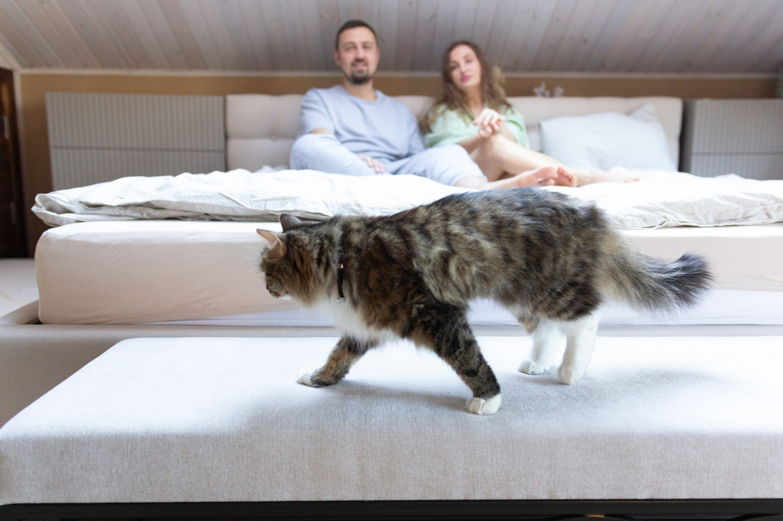 Семья Юлии и Станислава. Елена Ушакова профессиональный фотограф в Санкт-Петербурге