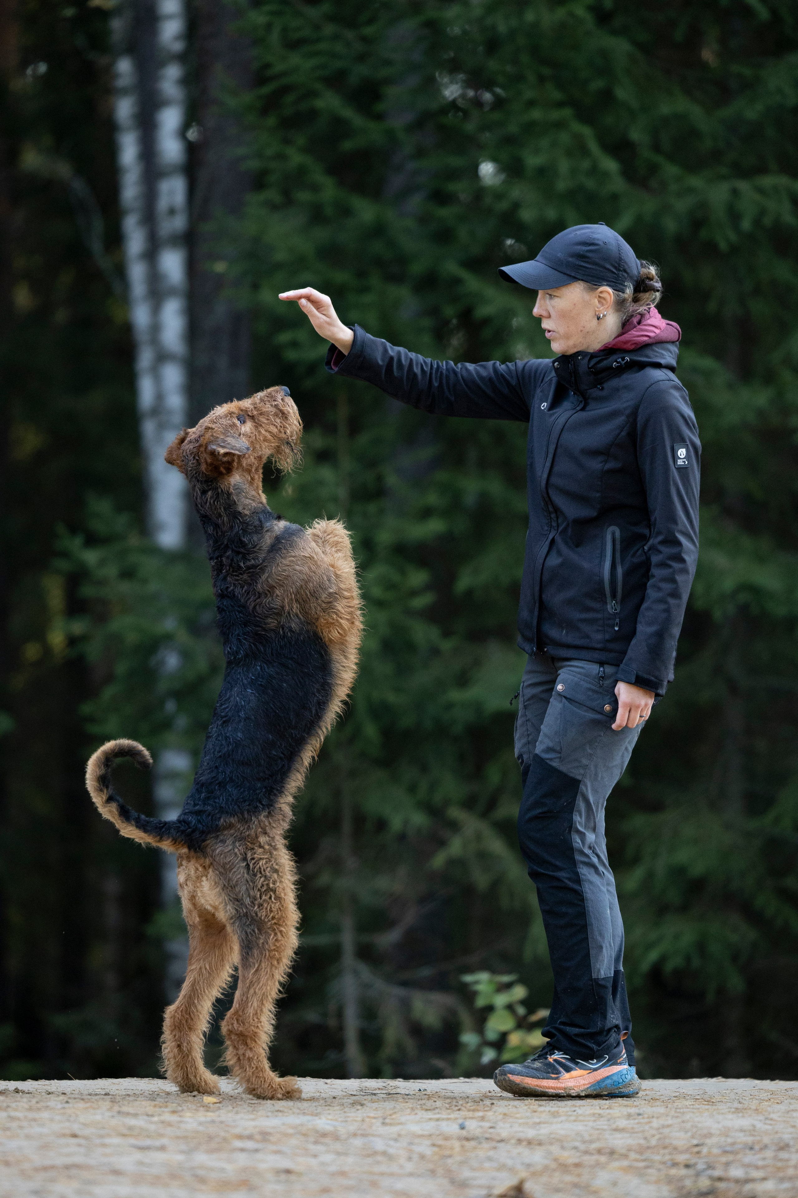 Харди. Фотограф-анималист Анна Маринич