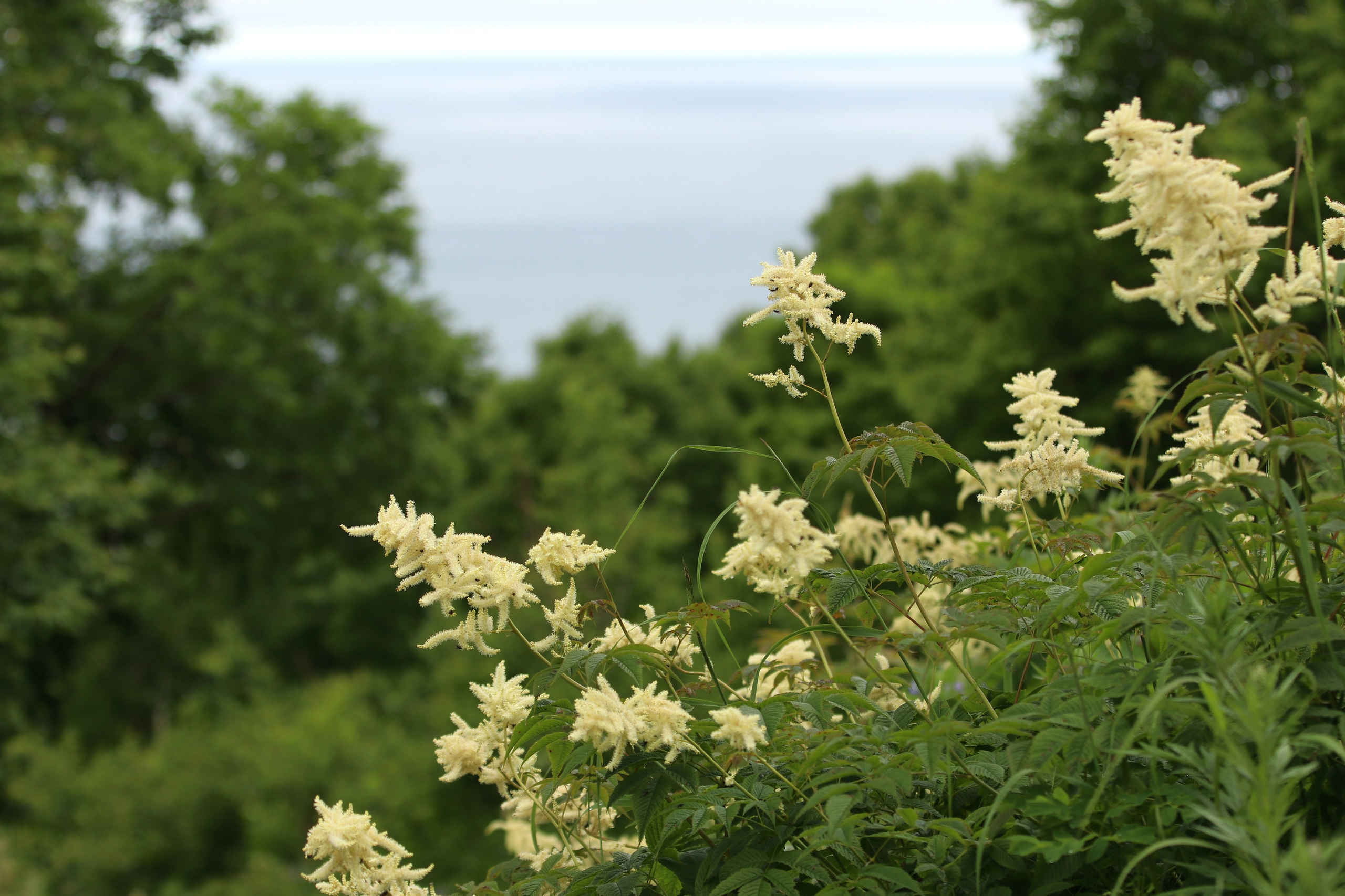 Мыс Маячный