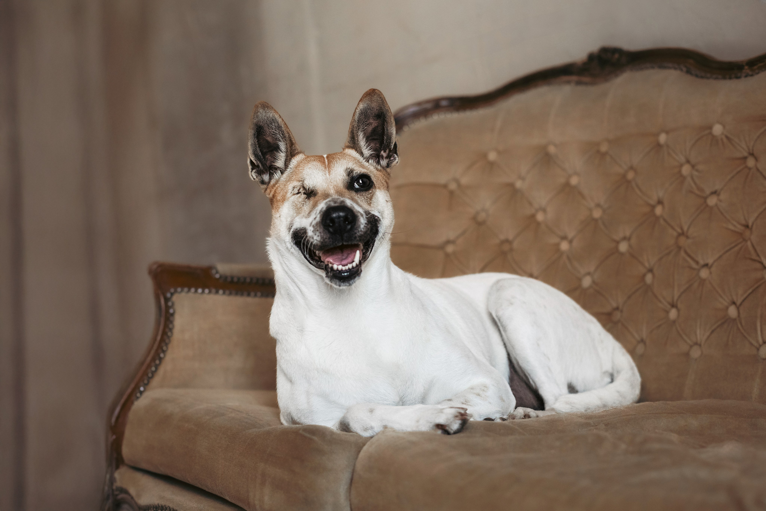 Полина и Альвильда. Фотограф-анималист Татьяна Степанова