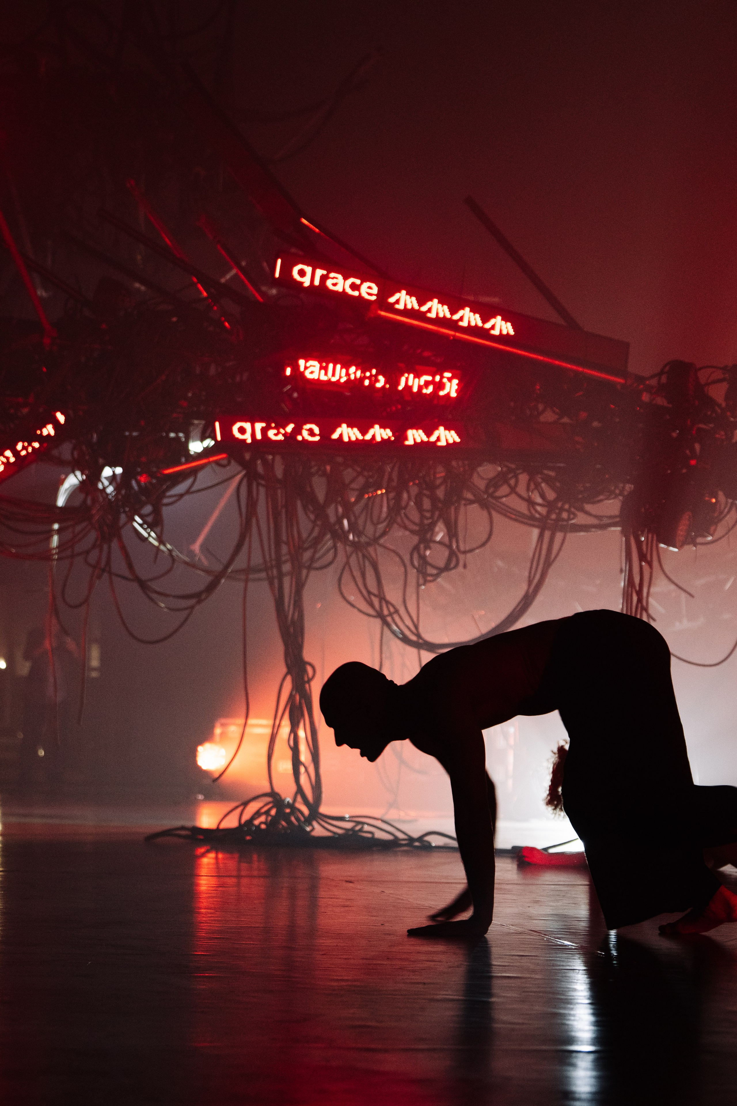 PERFORMA, The Hour of the Horse. @tomrus: Рустам Шагиморданов — фотограф