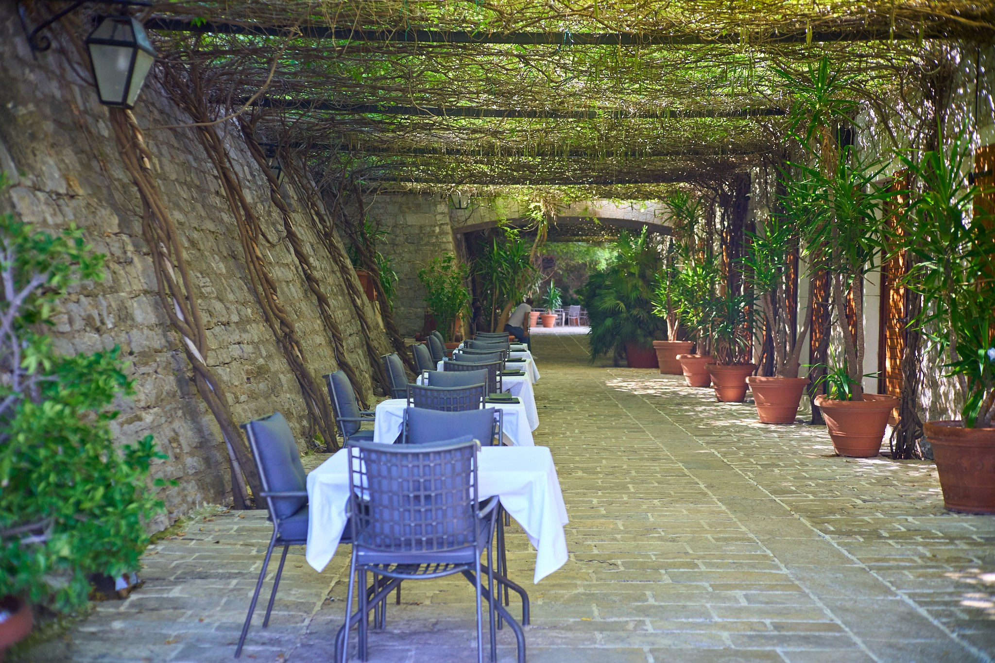 Черногория, сентябрь 2024. Фотограф, Римма Невинская